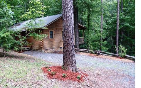 149 Beach Road Blue Ridge, GA 30513 - Photo 1 of 1 Main View