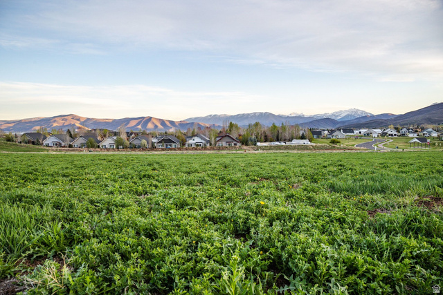 86 West Wilson Court, Unit 2 Midway, UT 84049 - Photo 4 of 17