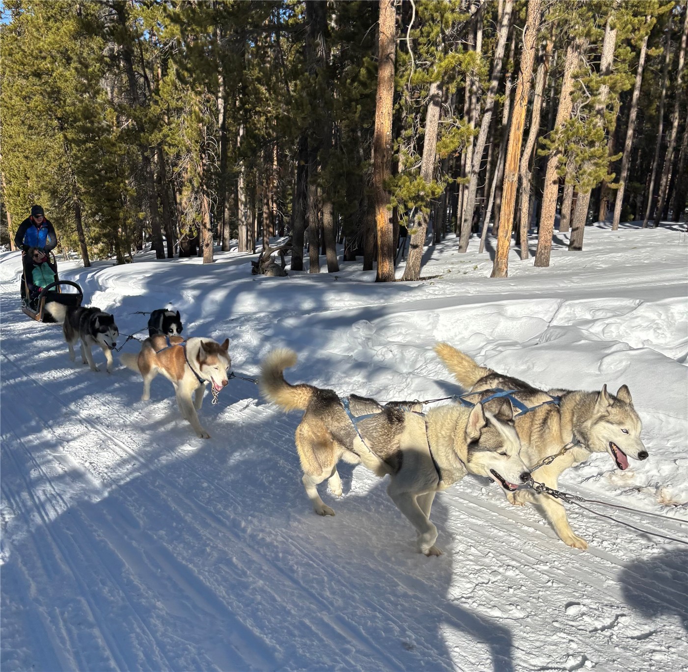 515 Miners View Road Breckenridge, CO 80424 - Photo 10 of 20