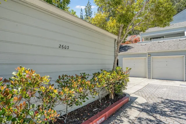 a view of a garden with plants