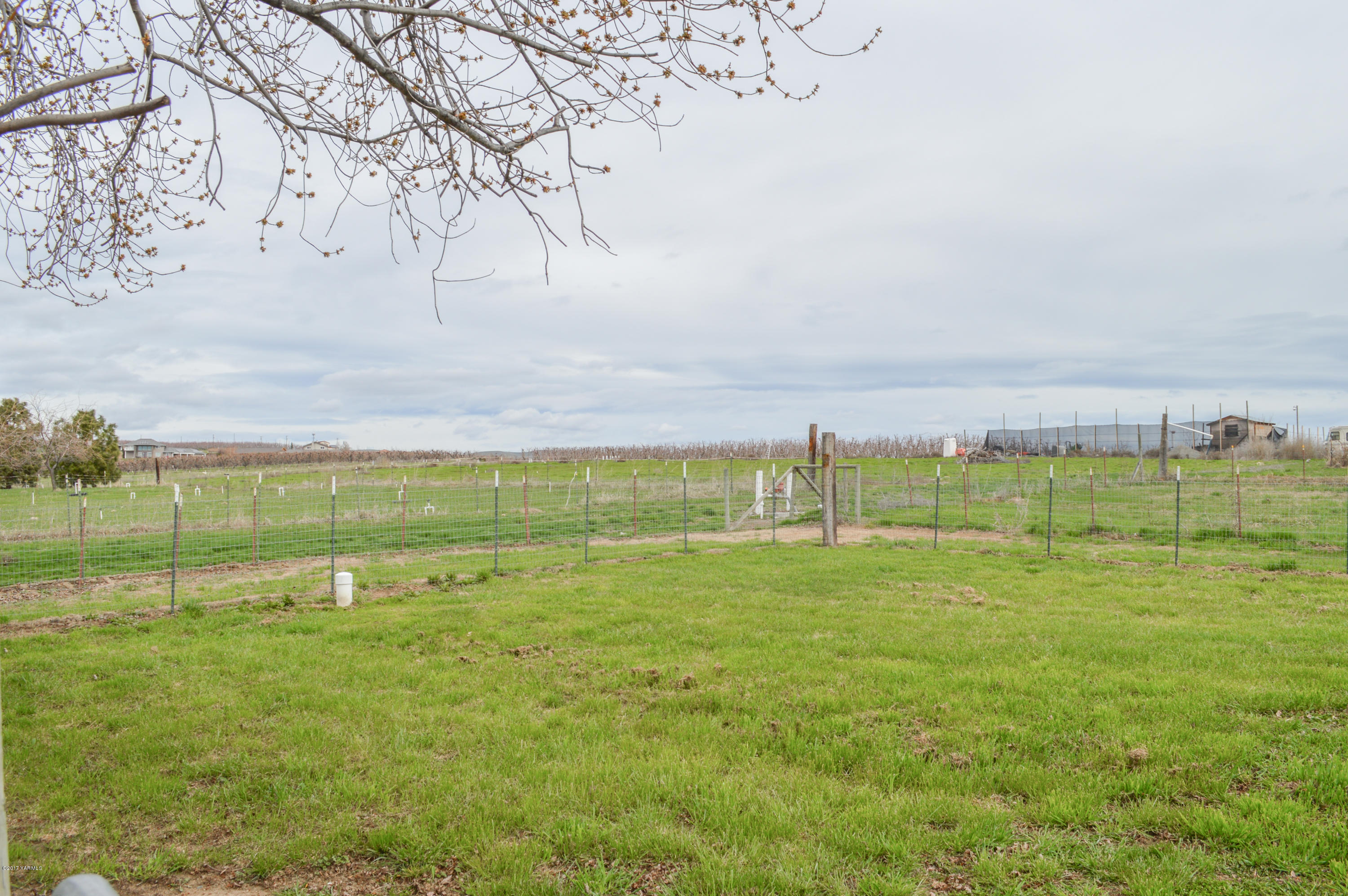 581 Gilbert Road Zillah, WA 98953 - Photo 34 of 38 a view of a field with an trees in the background