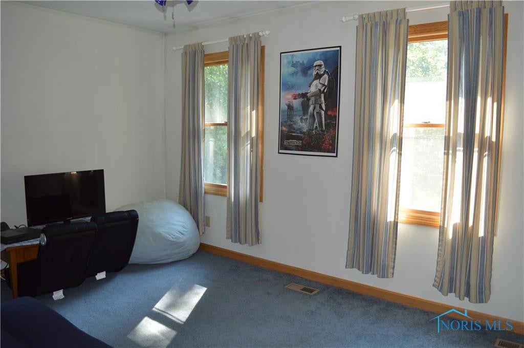 5010 Bays Road Wayne, OH 43466 - Photo 33 of 35 Gallery Image 33