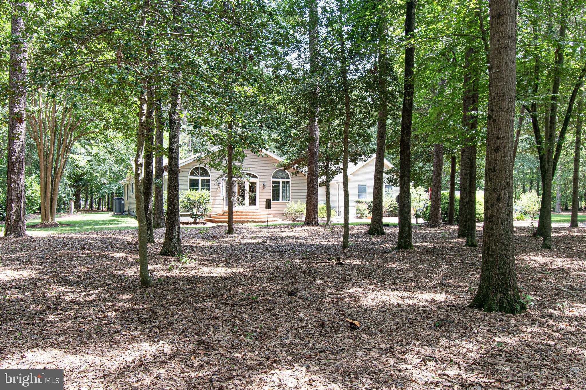 6074 Newton Road Preston, MD 21655 - Photo 54 of 64 From the Creek through the woods