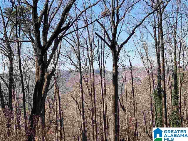 2841 Cherokee Road, Unit 1A Birmingham, AL 35223 - Photo 2 of 2