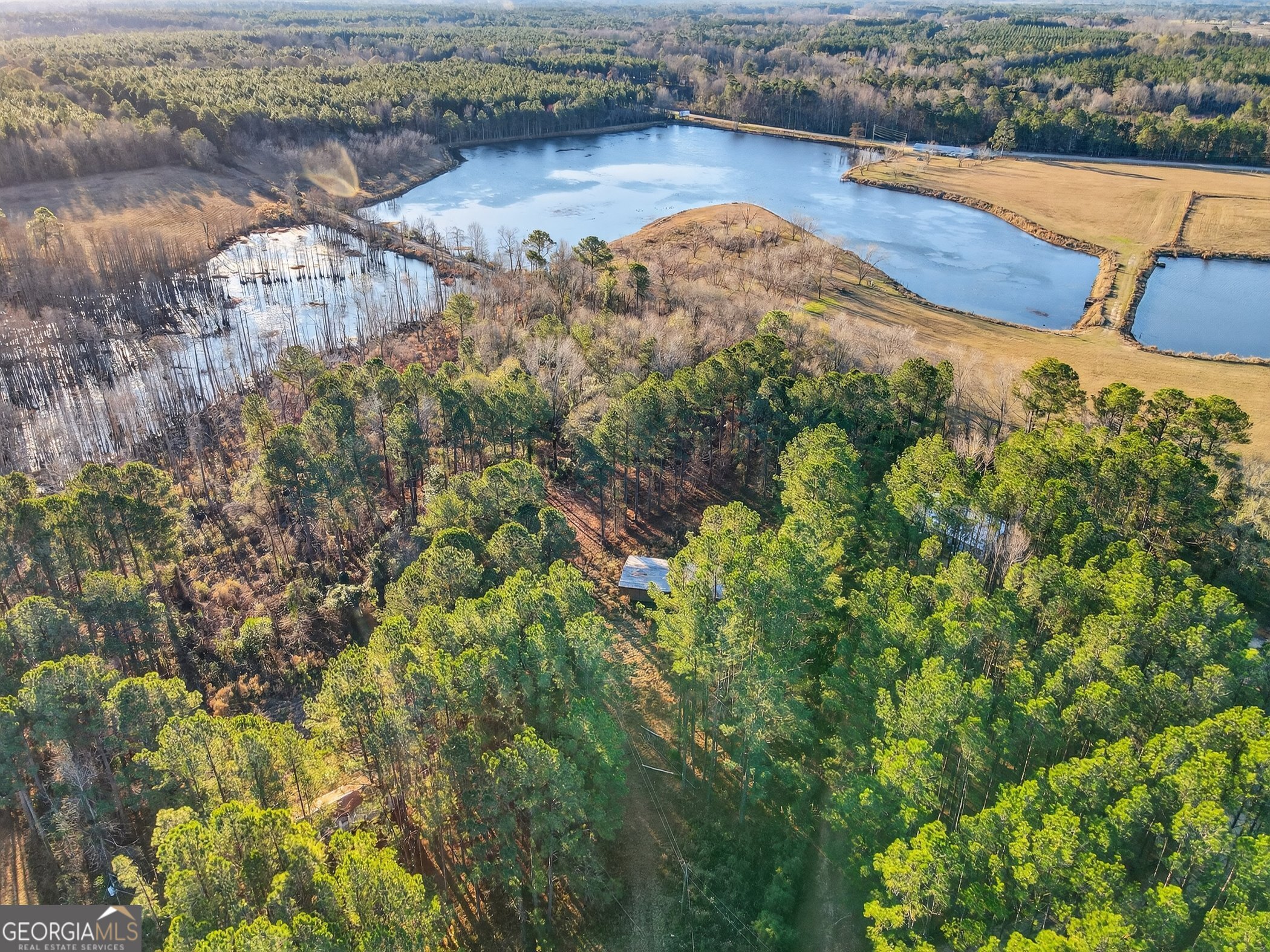 195 Creekside Manor Road Metter, GA 30439 - Photo 2 of 10 a view of outdoor space and yard