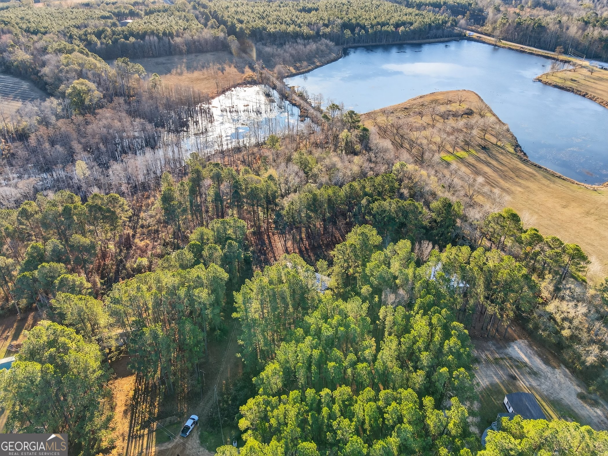 195 Creekside Manor Road Metter, GA 30439 - Photo 3 of 10 a view of lake with green space