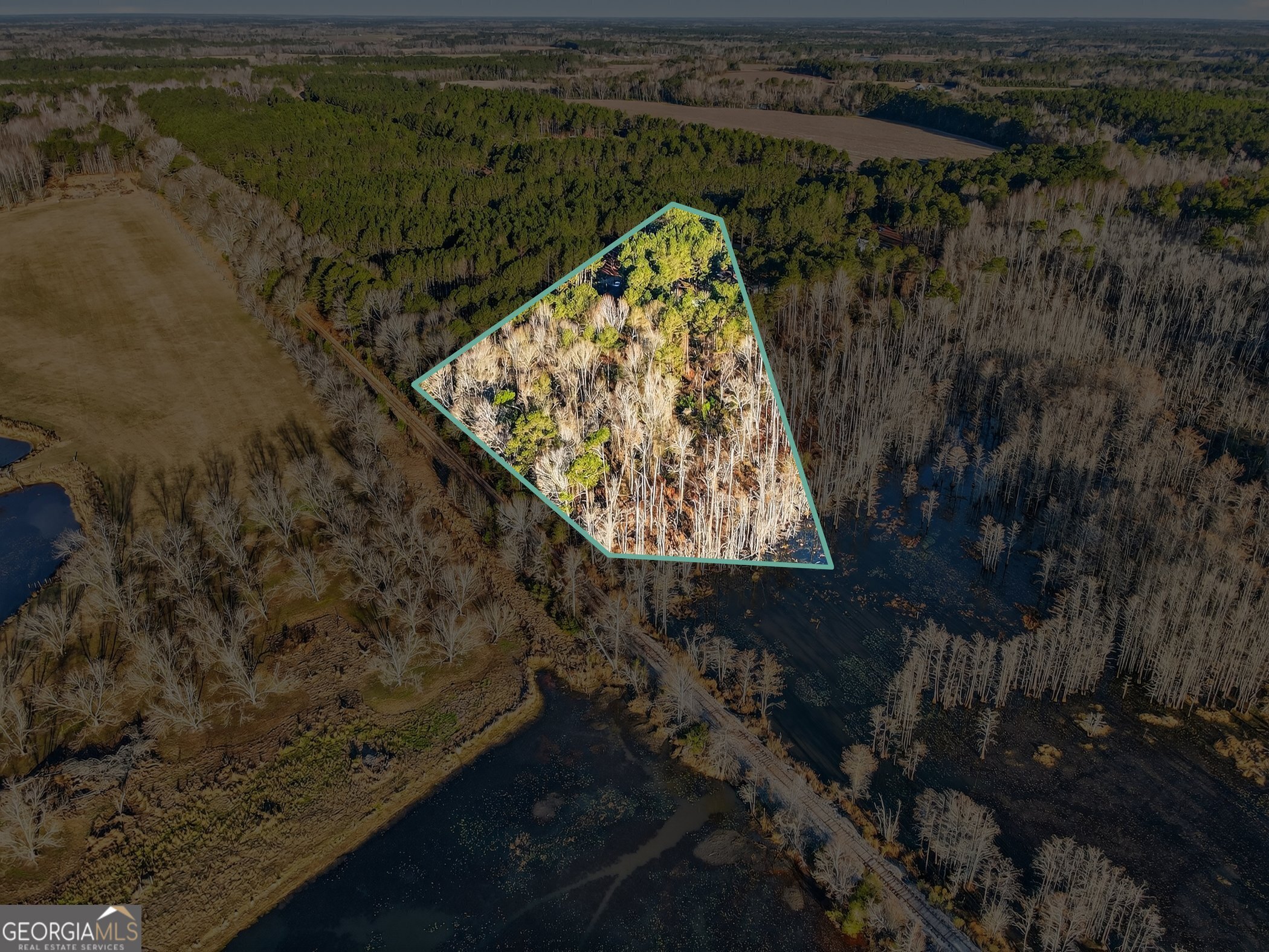 195 Creekside Manor Road Metter, GA 30439 - Photo 4 of 10 a view of swimming pool with a yard and lake view
