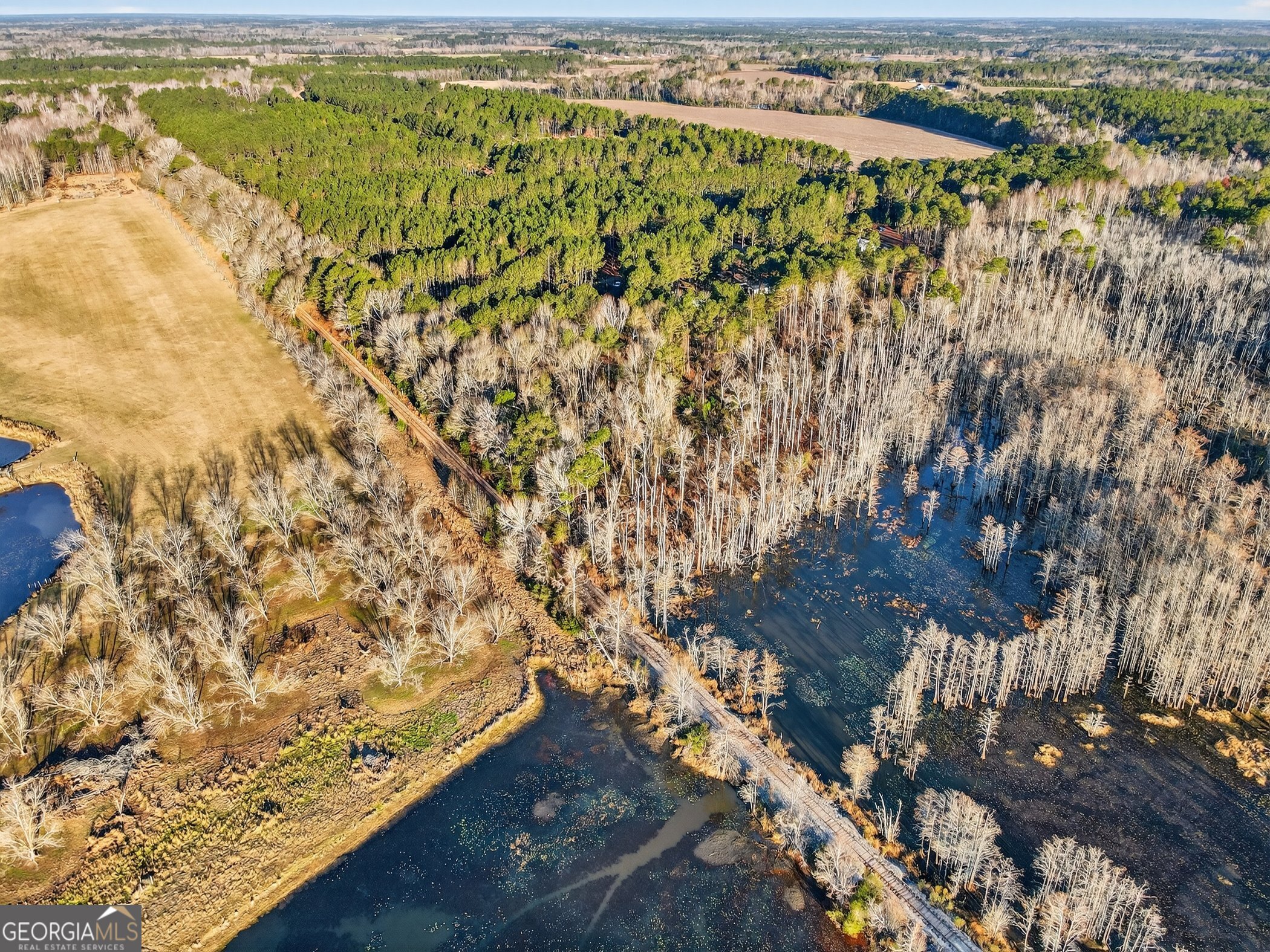 195 Creekside Manor Road Metter, GA 30439 - Photo 5 of 10 a view of ocean view
