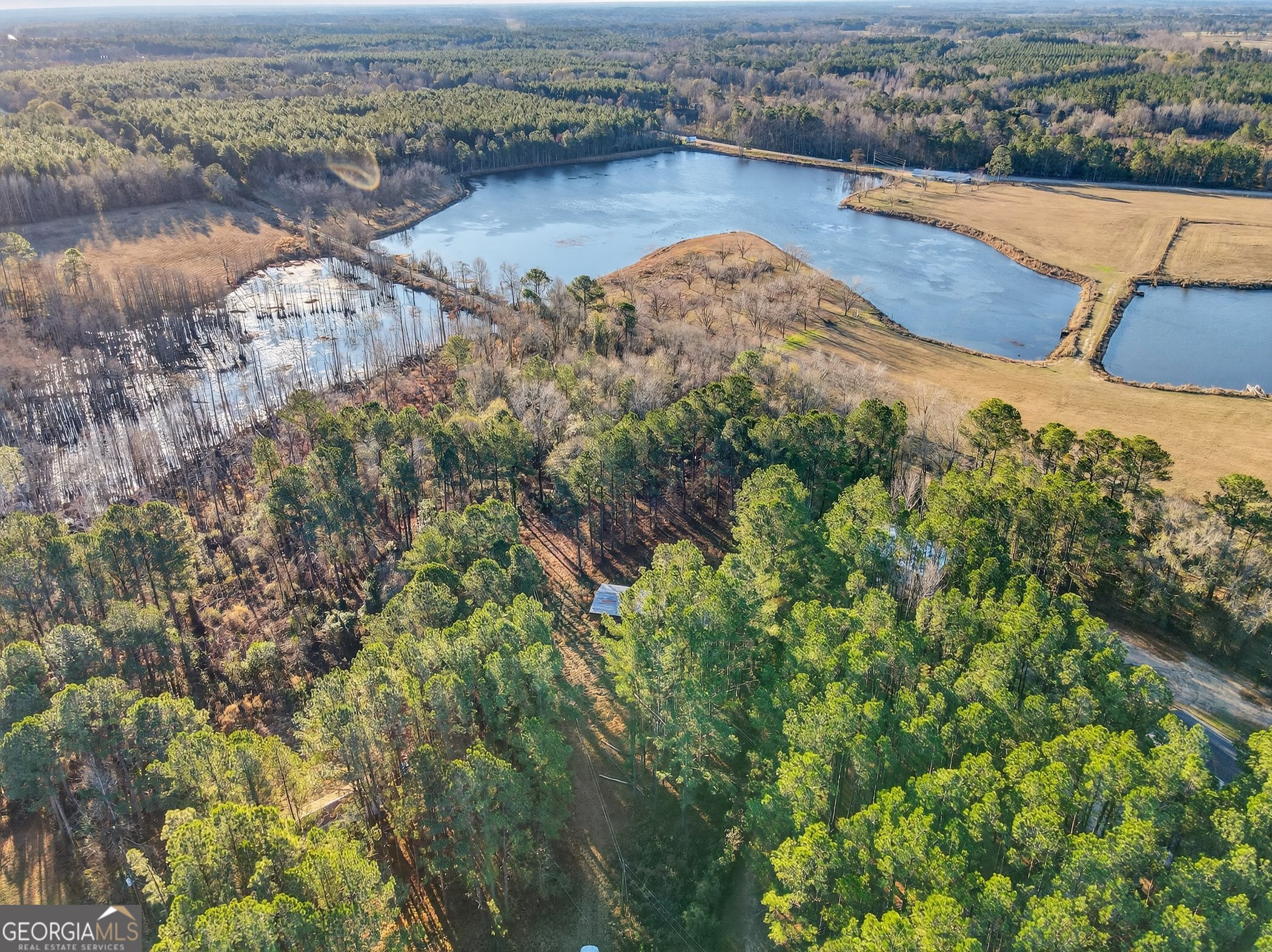 195 Creekside Manor Road Metter, GA 30439 - Photo 6 of 10 an aerial view of a house with a lake view