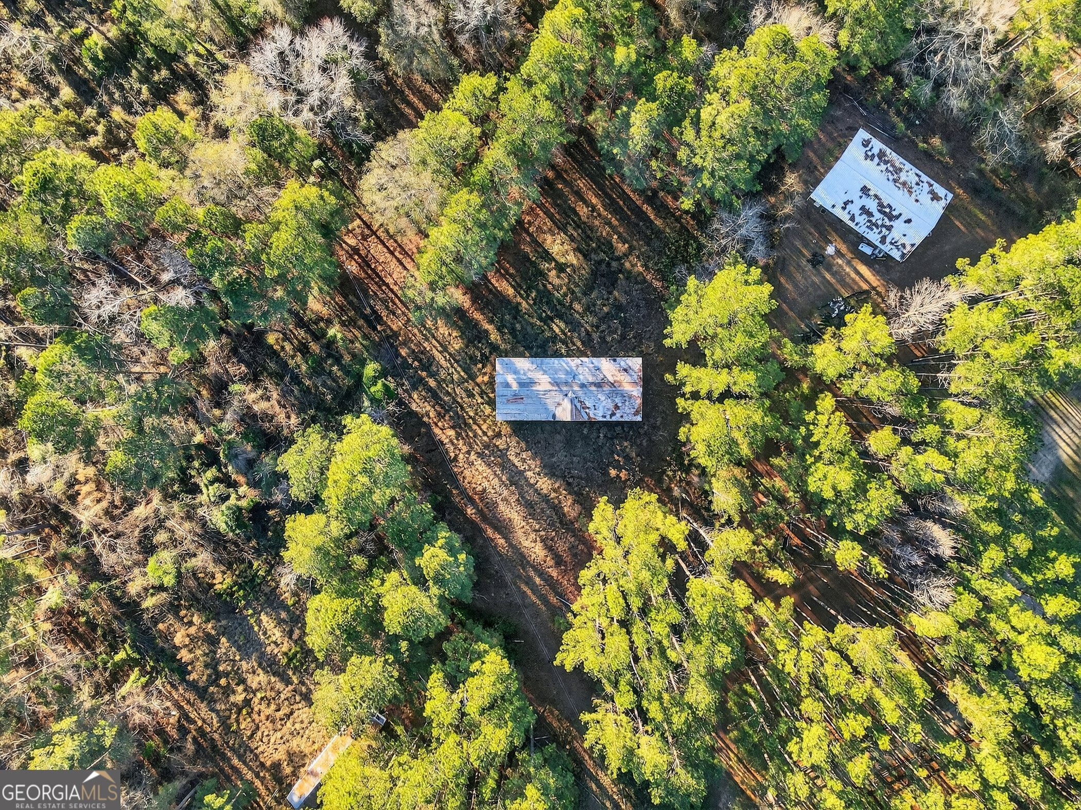 195 Creekside Manor Road Metter, GA 30439 - Photo 8 of 10