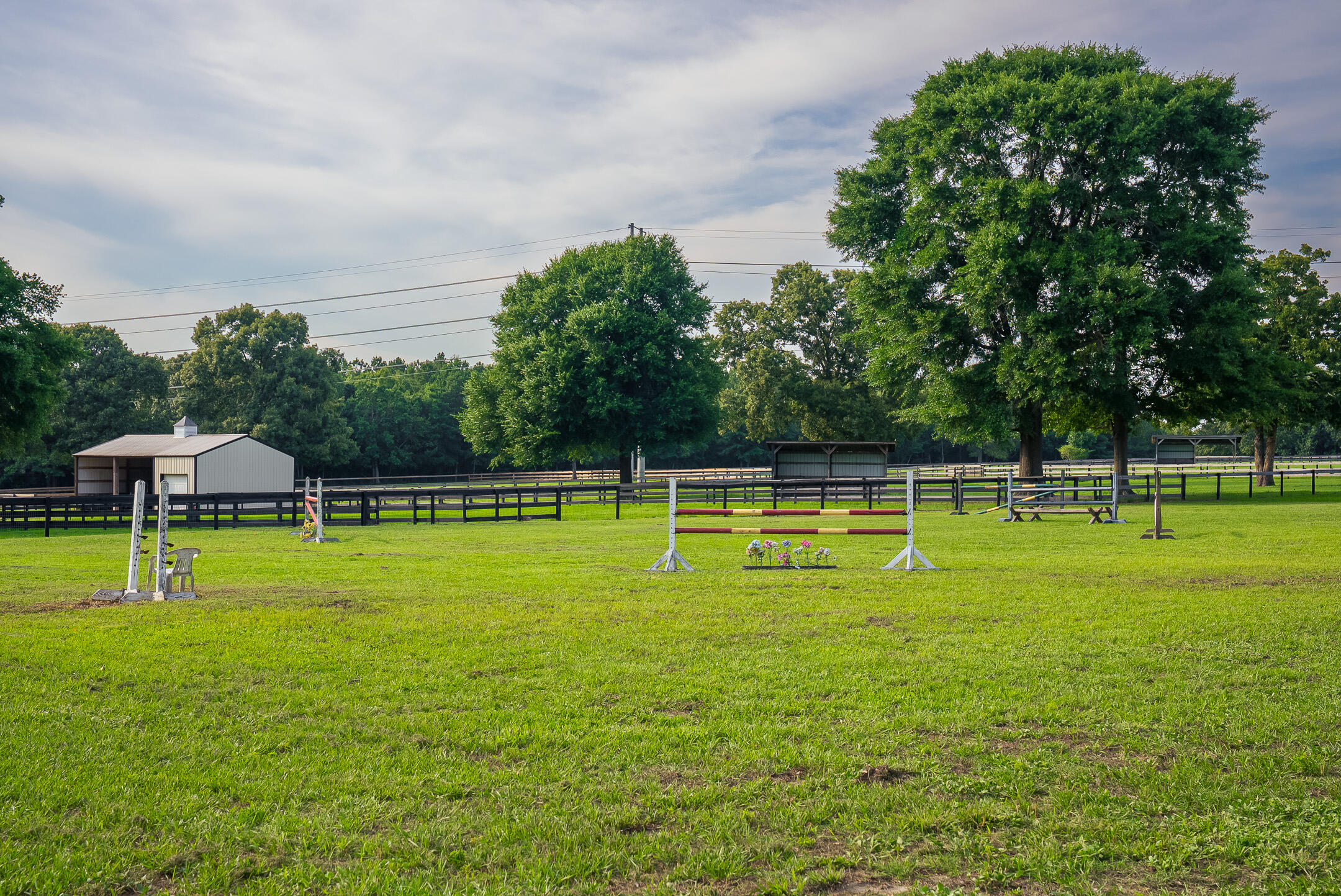 500 Burkelo Road Wagener, SC 29164 - Photo 55 of 80