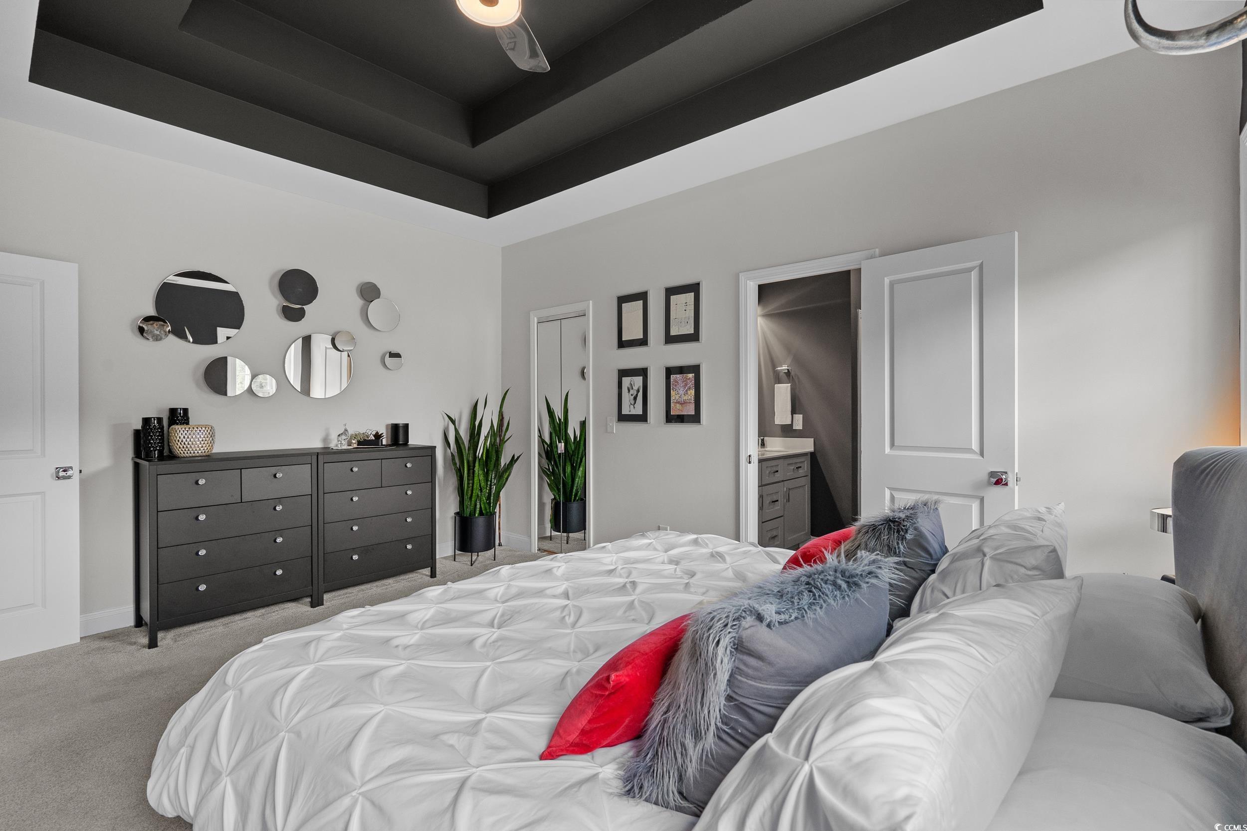 752 Hobonny Loop Longs, SC 29568 - Photo 18 of 40 Carpeted bedroom with a tray ceiling and ensuite bathroom