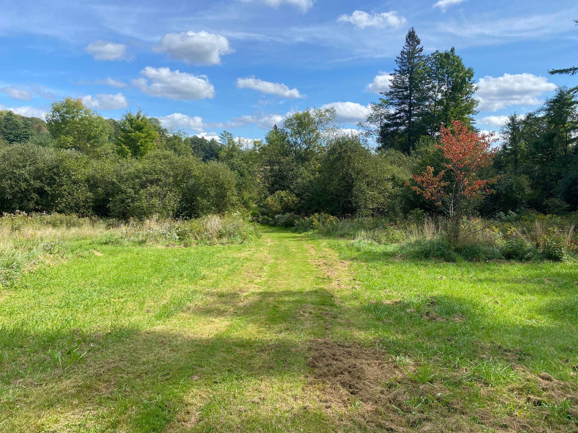 688 Lightening Ridge Road Calais, VT 05667 - Photo 27 of 37