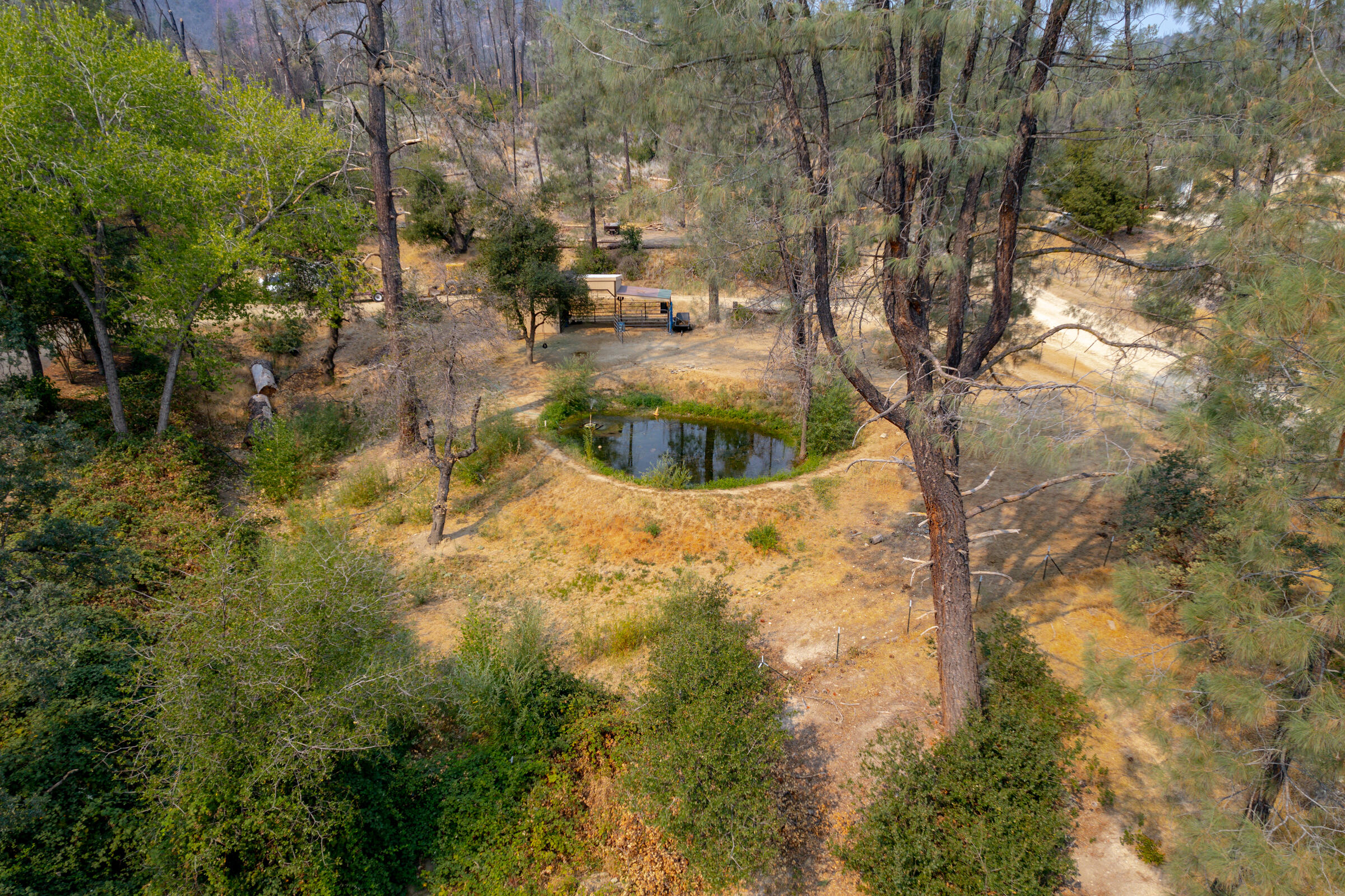 15025 Miners Gulch Road Shasta, CA 96087 - Photo 39 of 47 pond