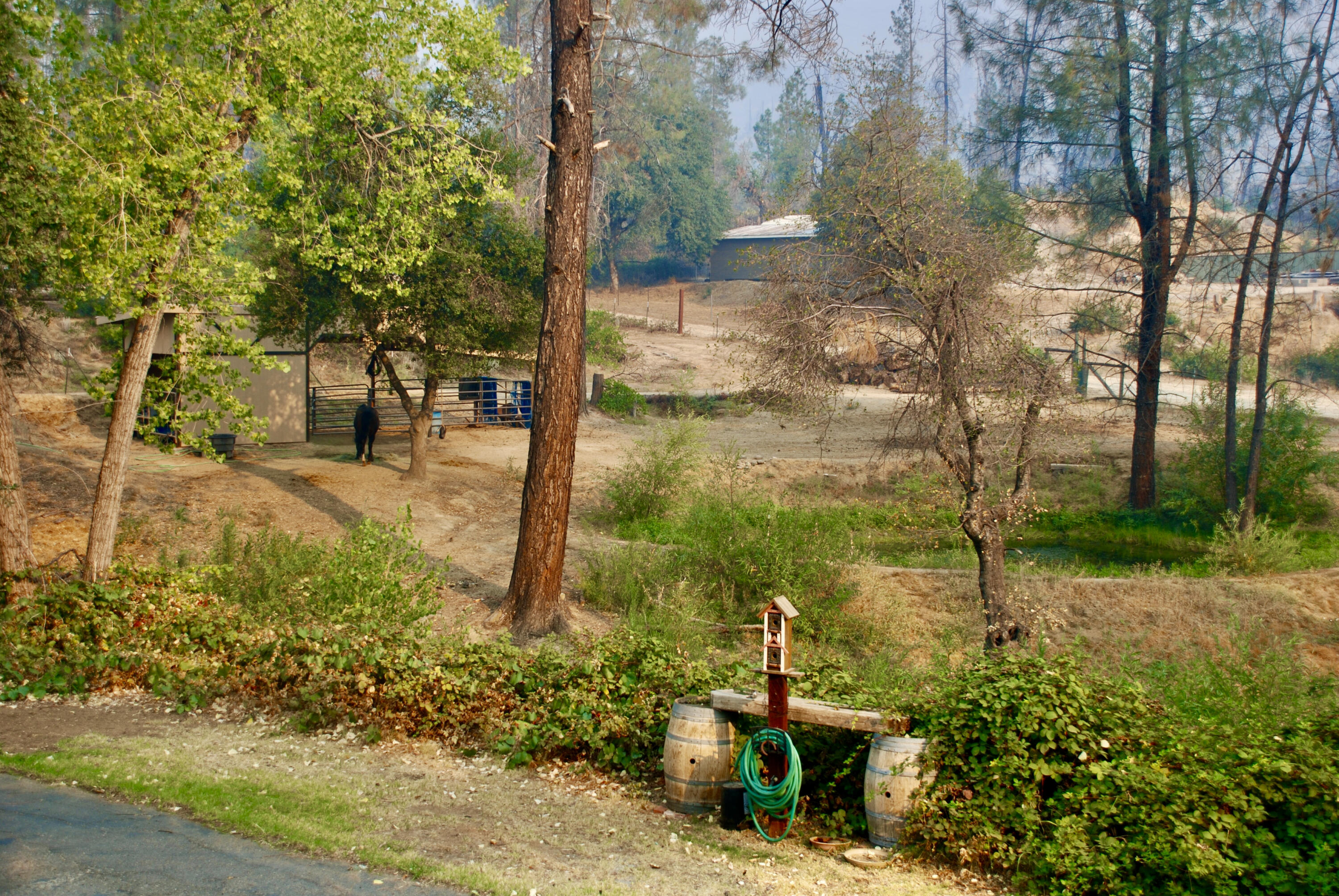 15025 Miners Gulch Road Shasta, CA 96087 - Photo 41 of 47 24FB66DF-A1A5-47A2-B141-8AB1A569F977_1_2