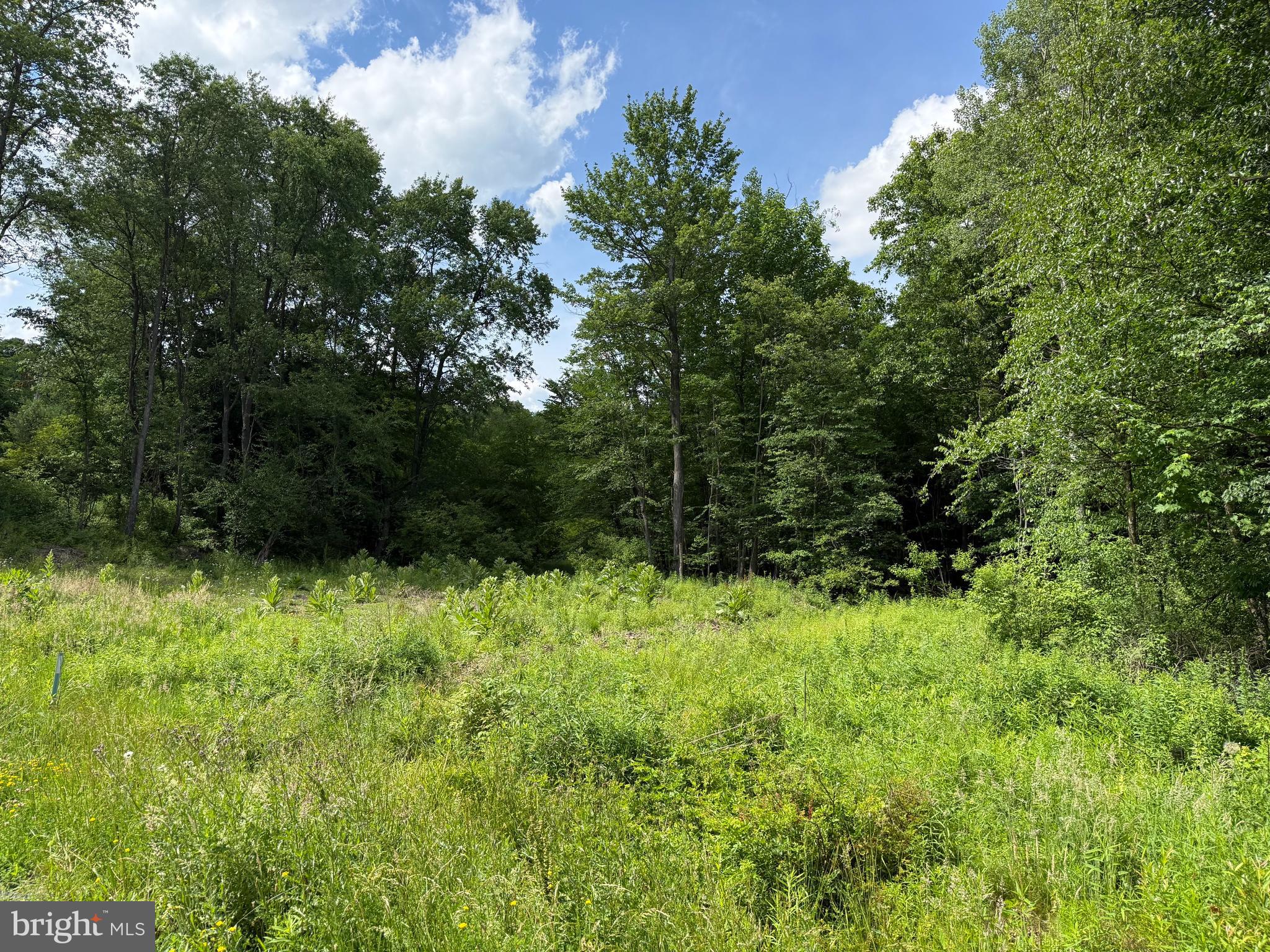 0 Frog Hollow Road Philipsburg, PA 16866 - Photo 2 of 8
