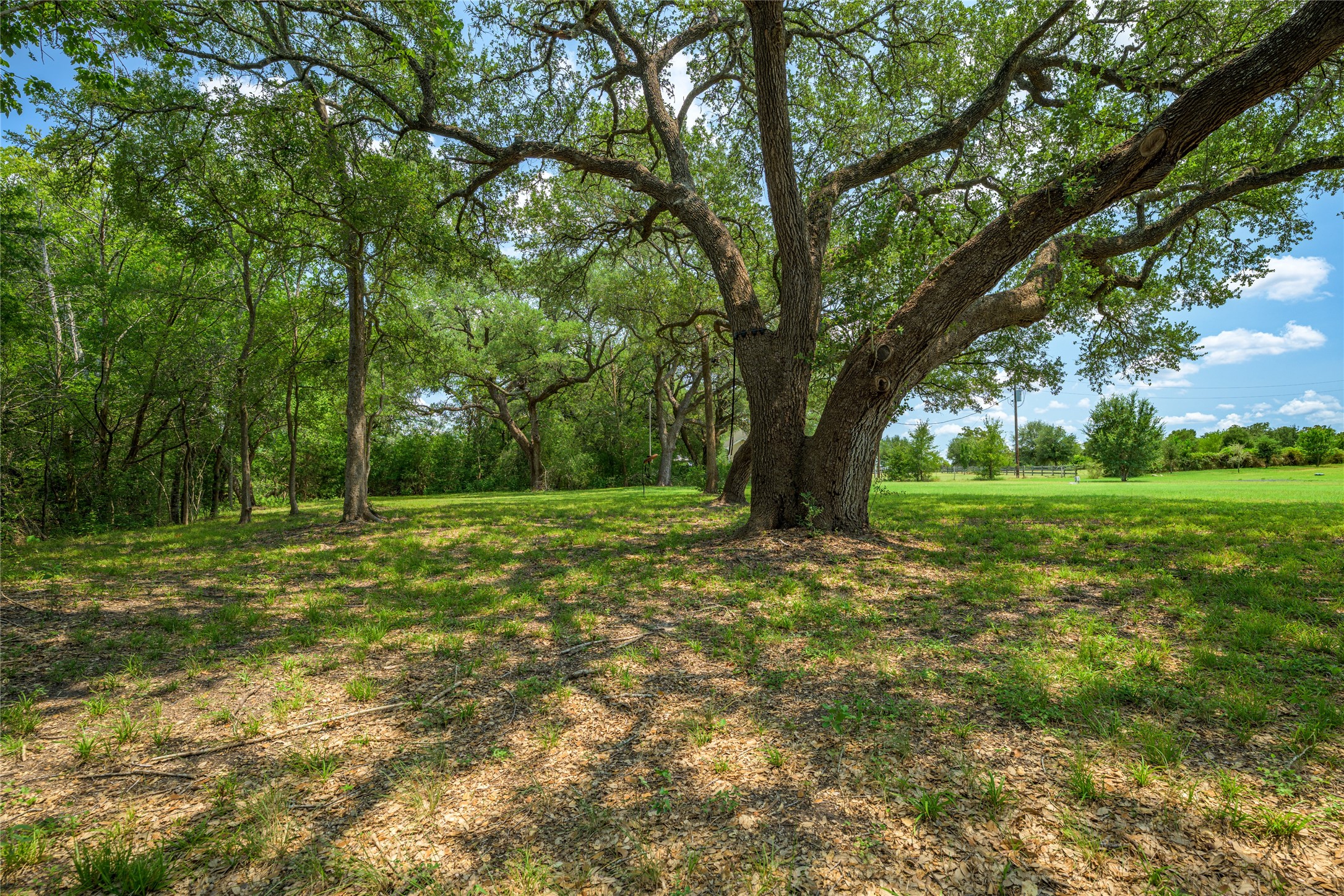 8390 Schuster Road Ledbetter, TX 78946 - Photo 25 of 27 a view of outdoor space with trees all around