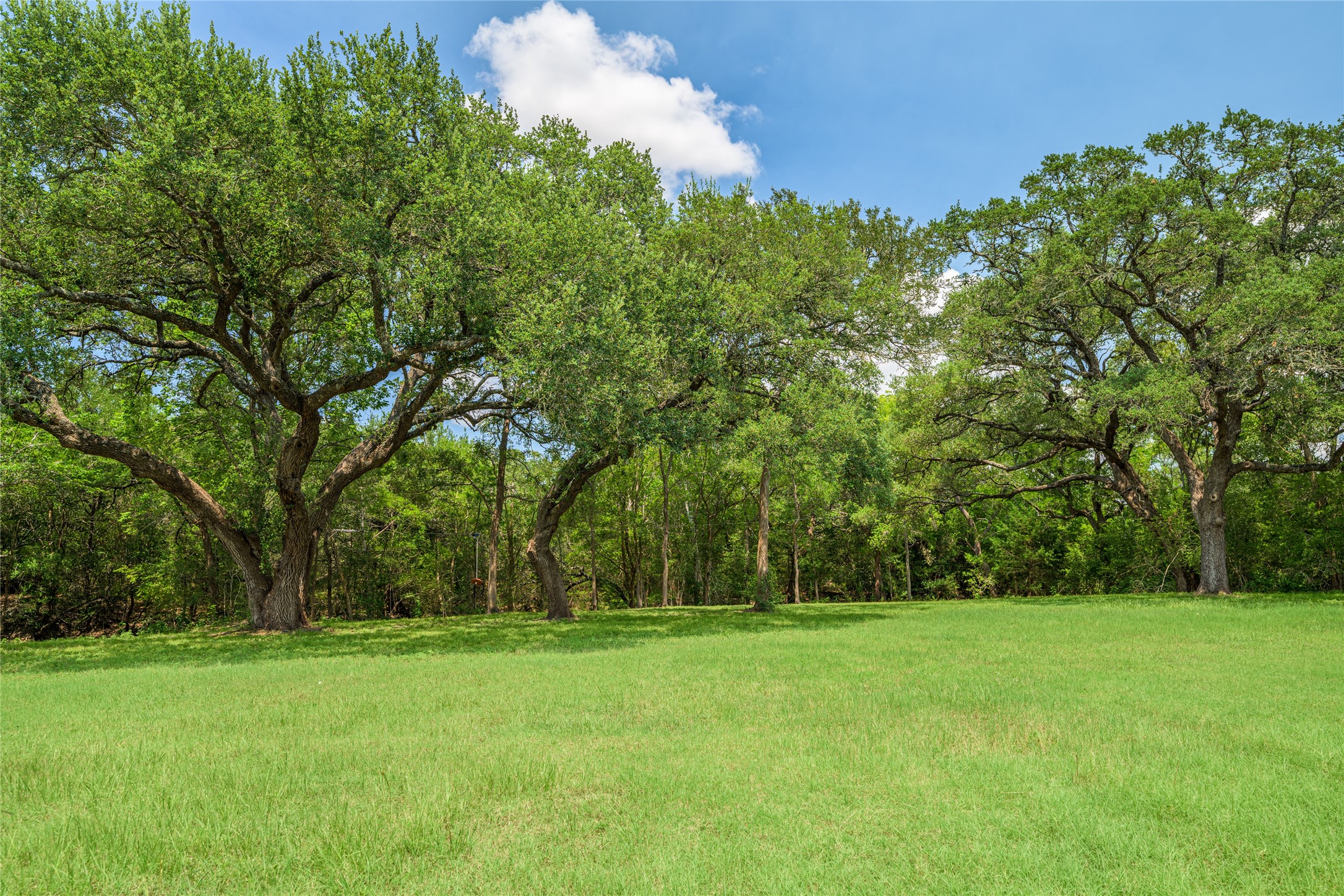 8390 Schuster Road Ledbetter, TX 78946 - Photo 26 of 27 a view of outdoor space with deck and yard
