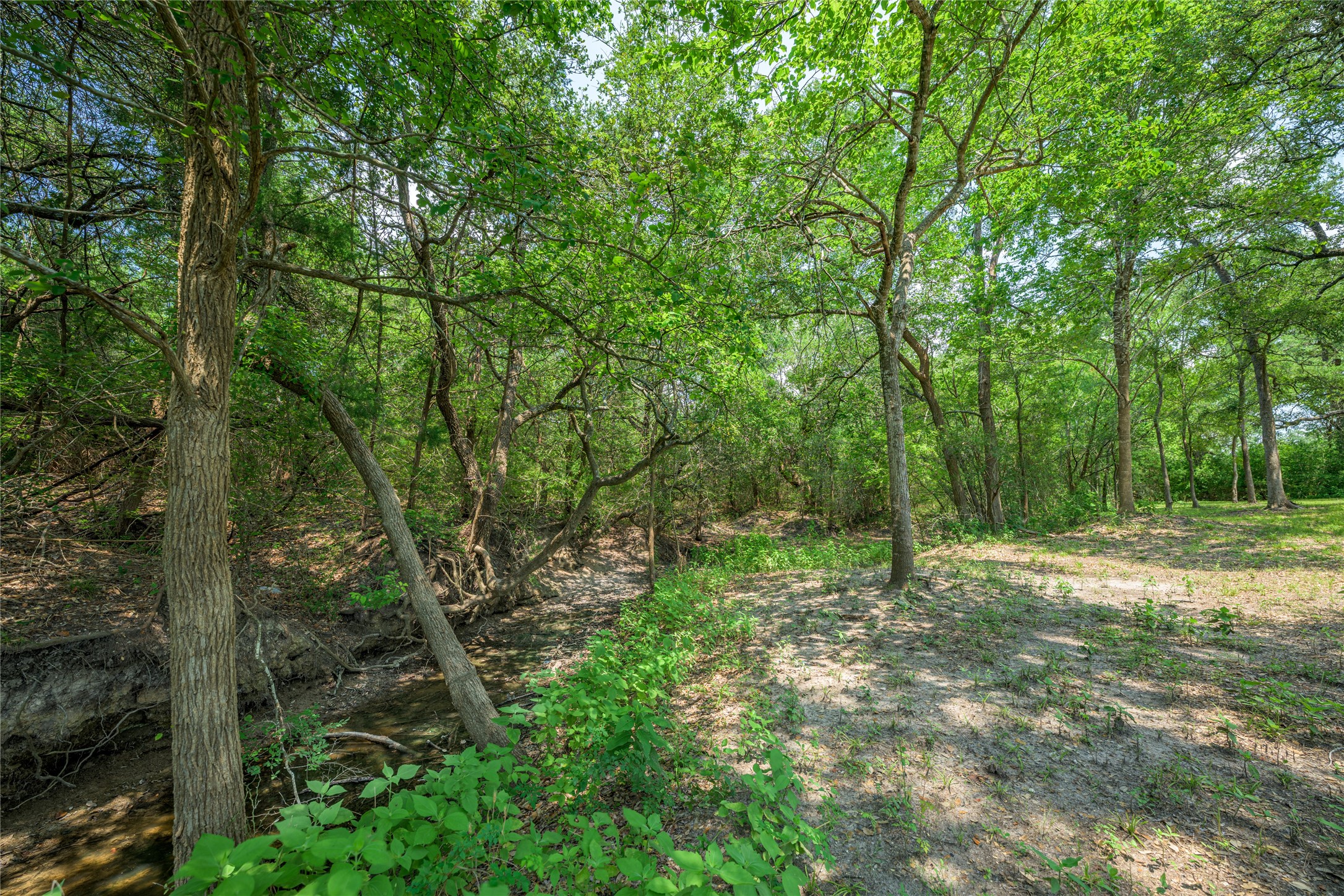 8390 Schuster Road Ledbetter, TX 78946 - Photo 27 of 27 a big yard with lots of green space and trees