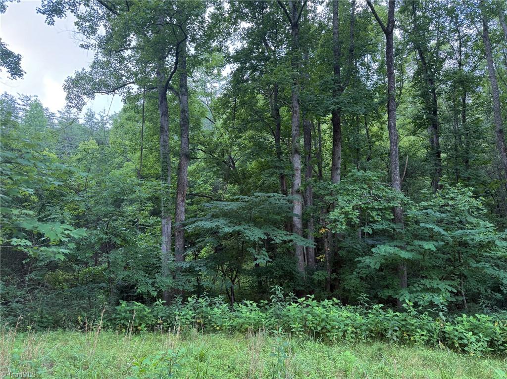 1215 Lucius Beasley Road Westfield, NC 27053 - Photo 23 of 25