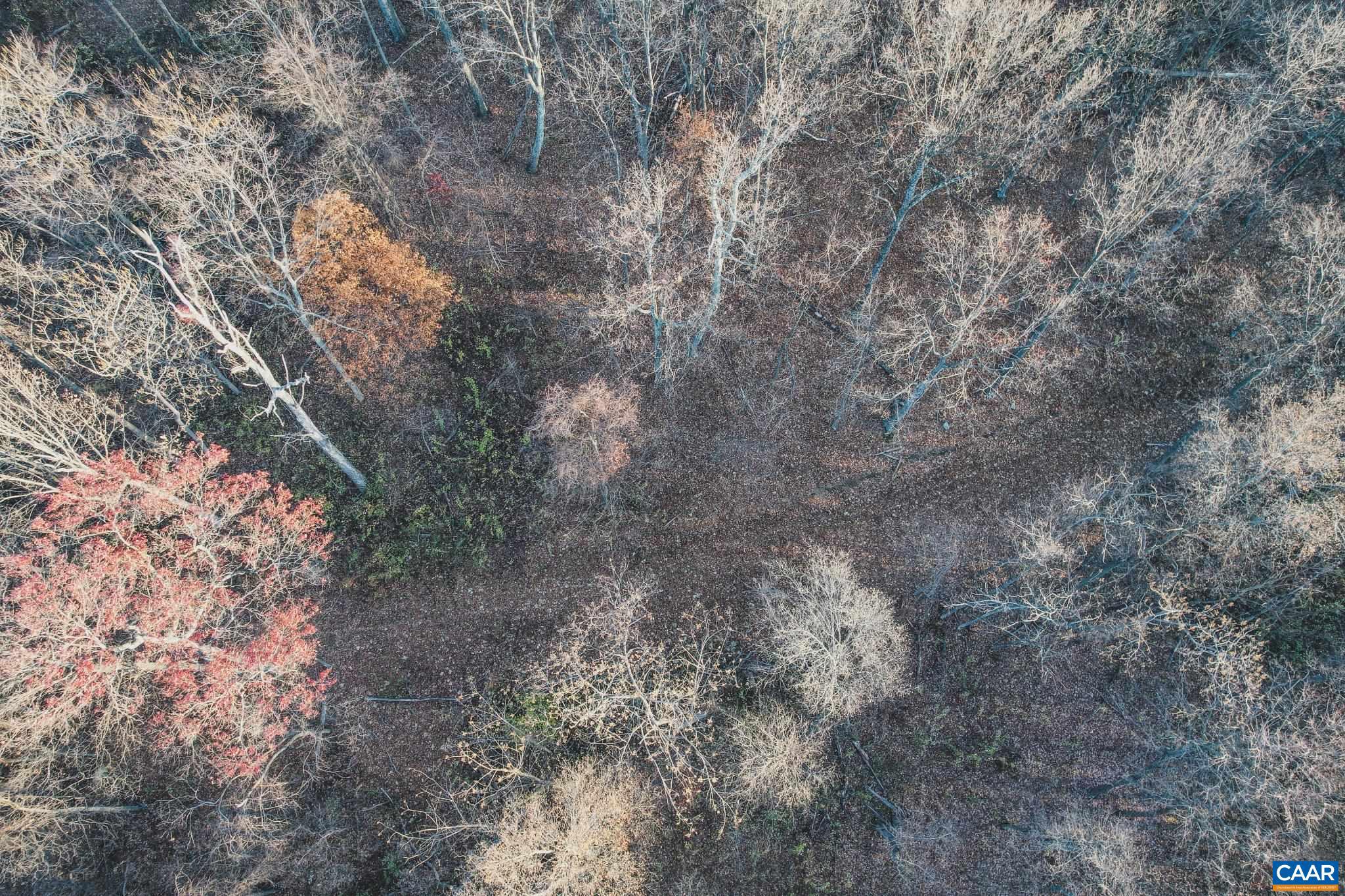 Tbd Tbd Leeds Manor Road Delaplane, VA 20144 - Photo 14 of 75