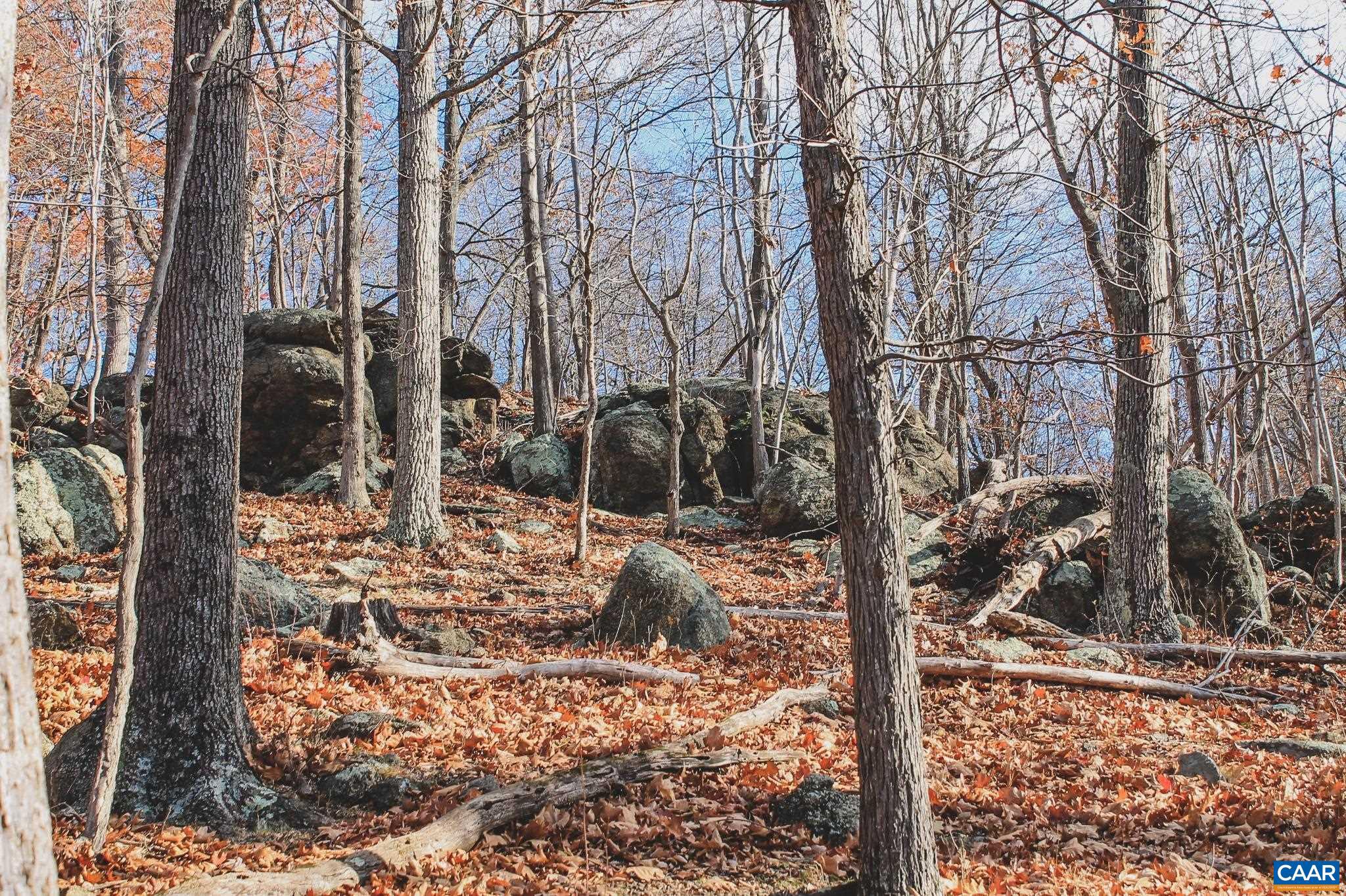 Tbd Tbd Leeds Manor Road Delaplane, VA 20144 - Photo 21 of 75