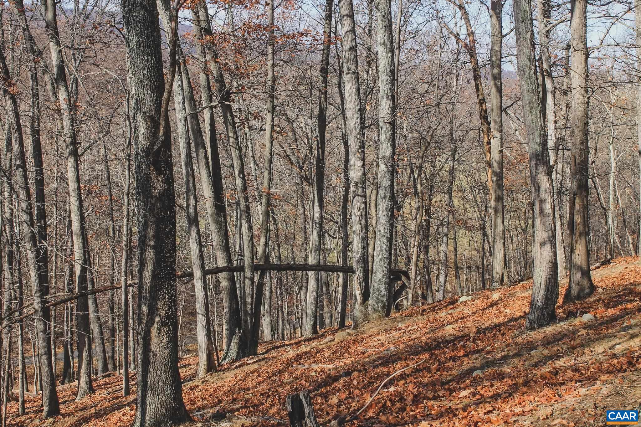 Tbd Tbd Leeds Manor Road Delaplane, VA 20144 - Photo 22 of 75