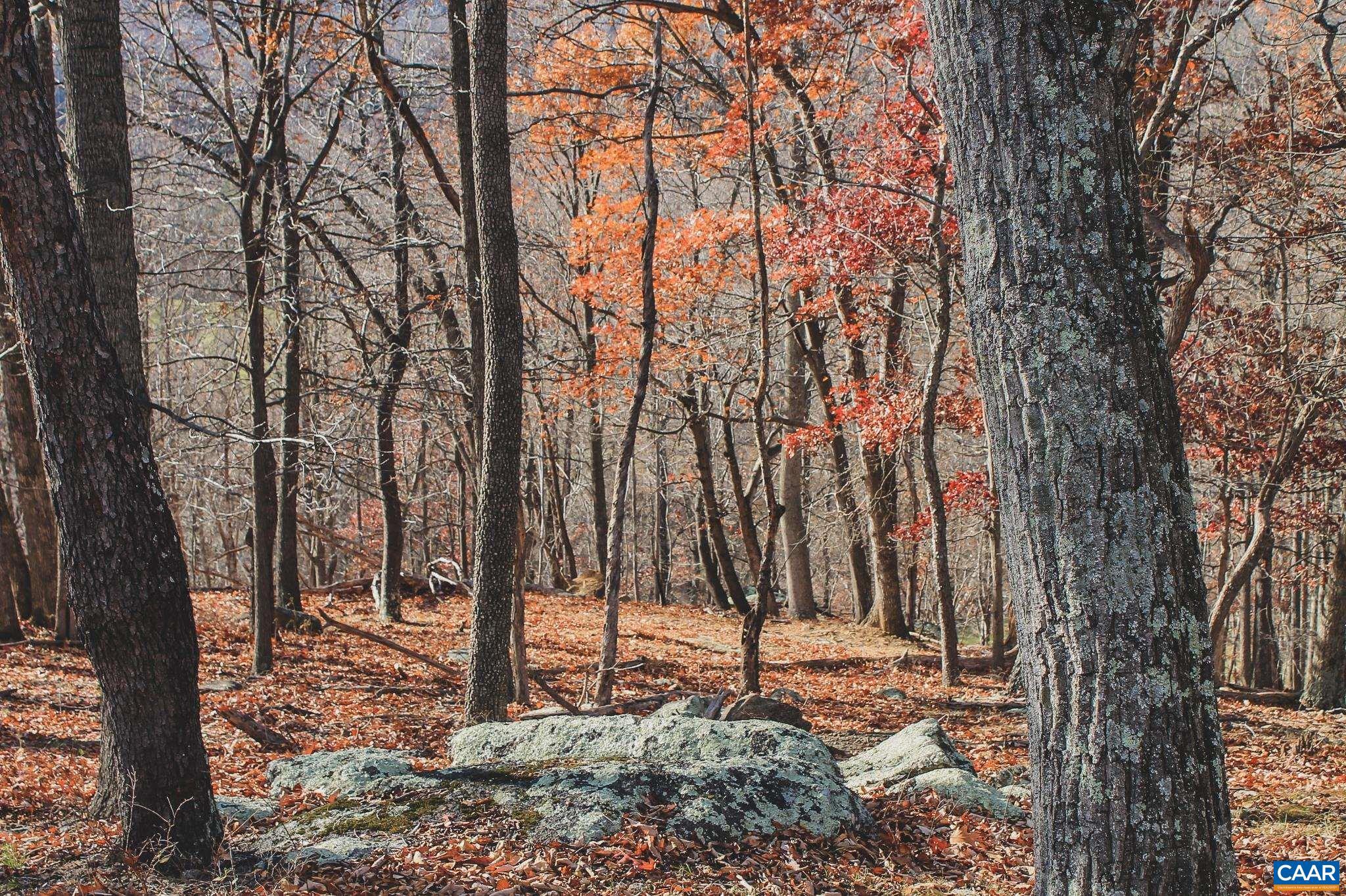 Tbd Tbd Leeds Manor Road Delaplane, VA 20144 - Photo 23 of 75