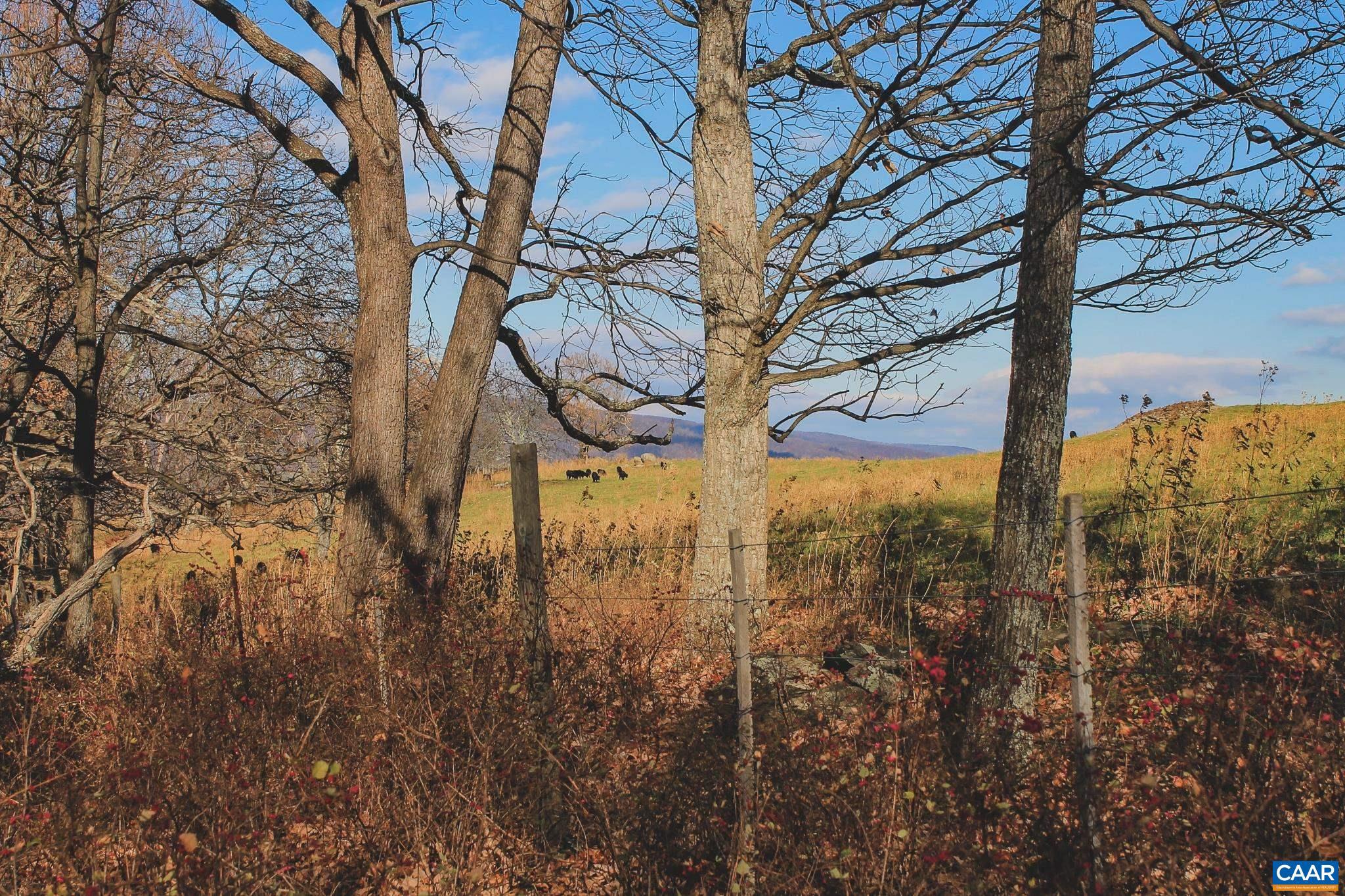 Tbd Tbd Leeds Manor Road Delaplane, VA 20144 - Photo 24 of 75