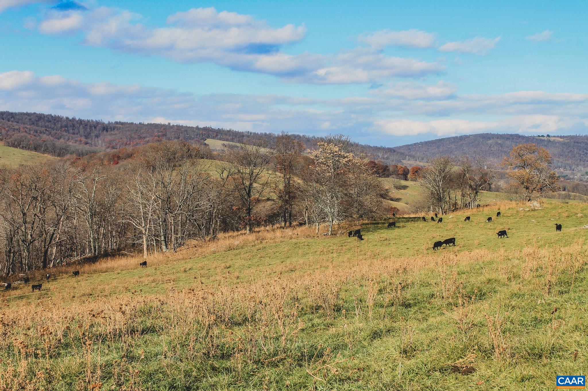 Tbd Tbd Leeds Manor Road Delaplane, VA 20144 - Photo 25 of 75
