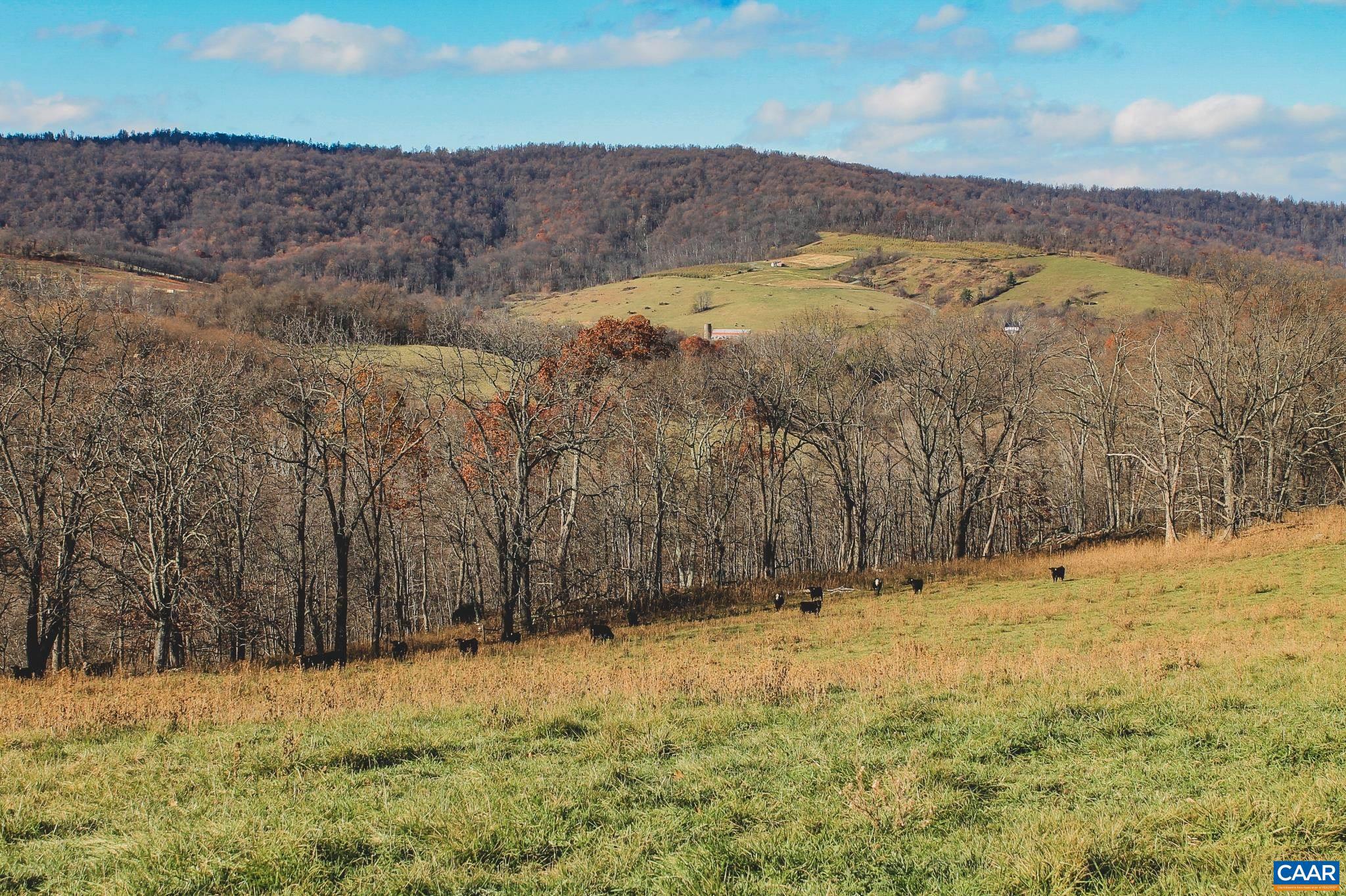 Tbd Tbd Leeds Manor Road Delaplane, VA 20144 - Photo 27 of 75
