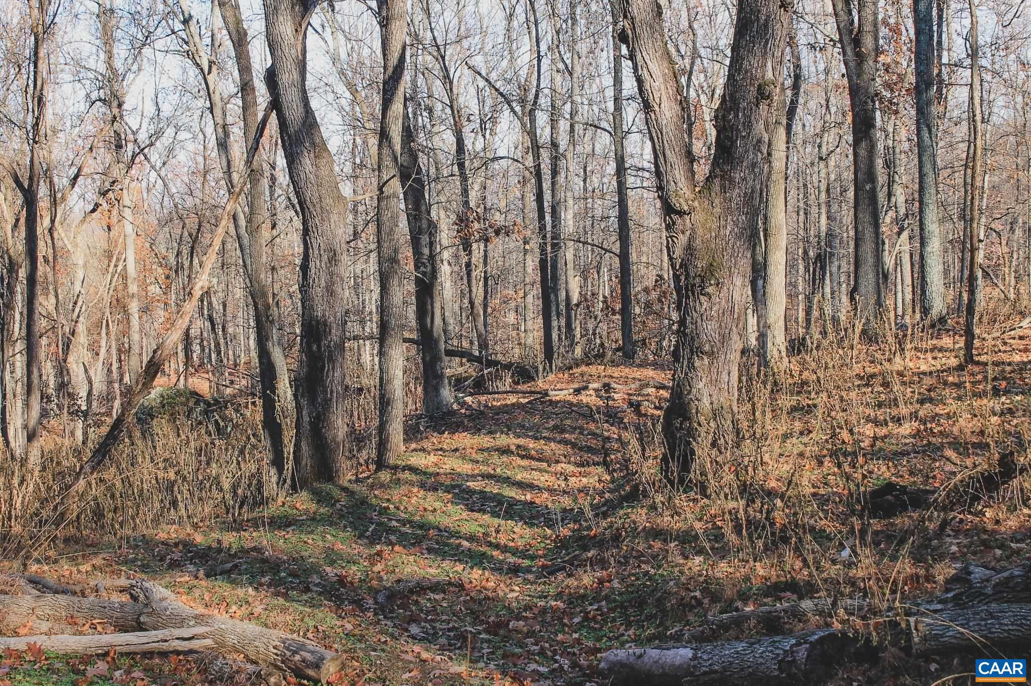 Tbd Tbd Leeds Manor Road Delaplane, VA 20144 - Photo 41 of 75