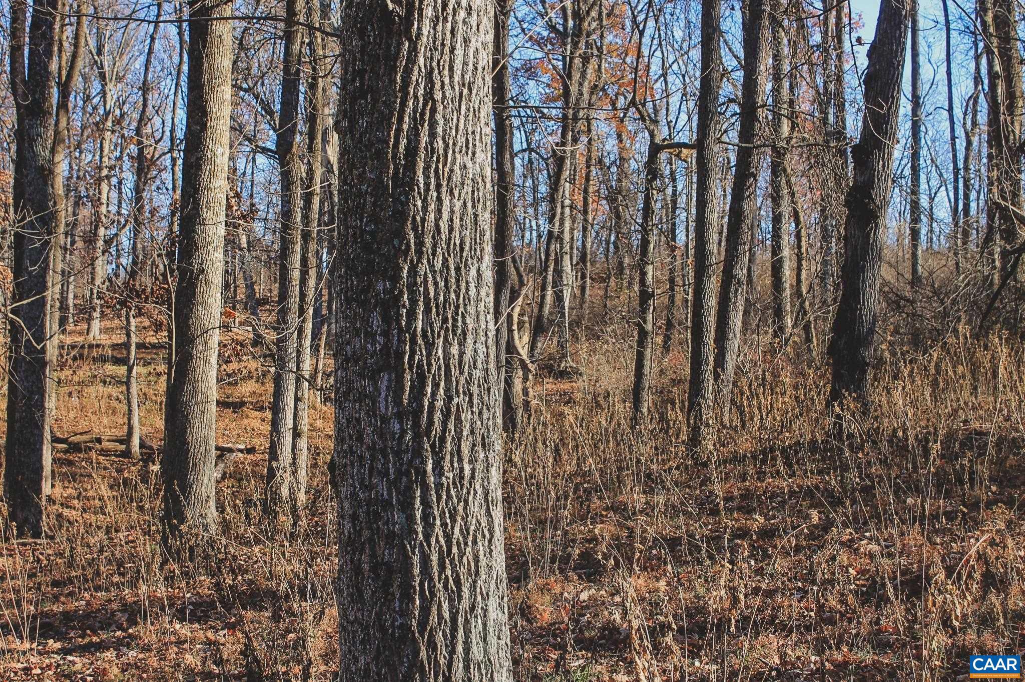 Tbd Tbd Leeds Manor Road Delaplane, VA 20144 - Photo 42 of 75