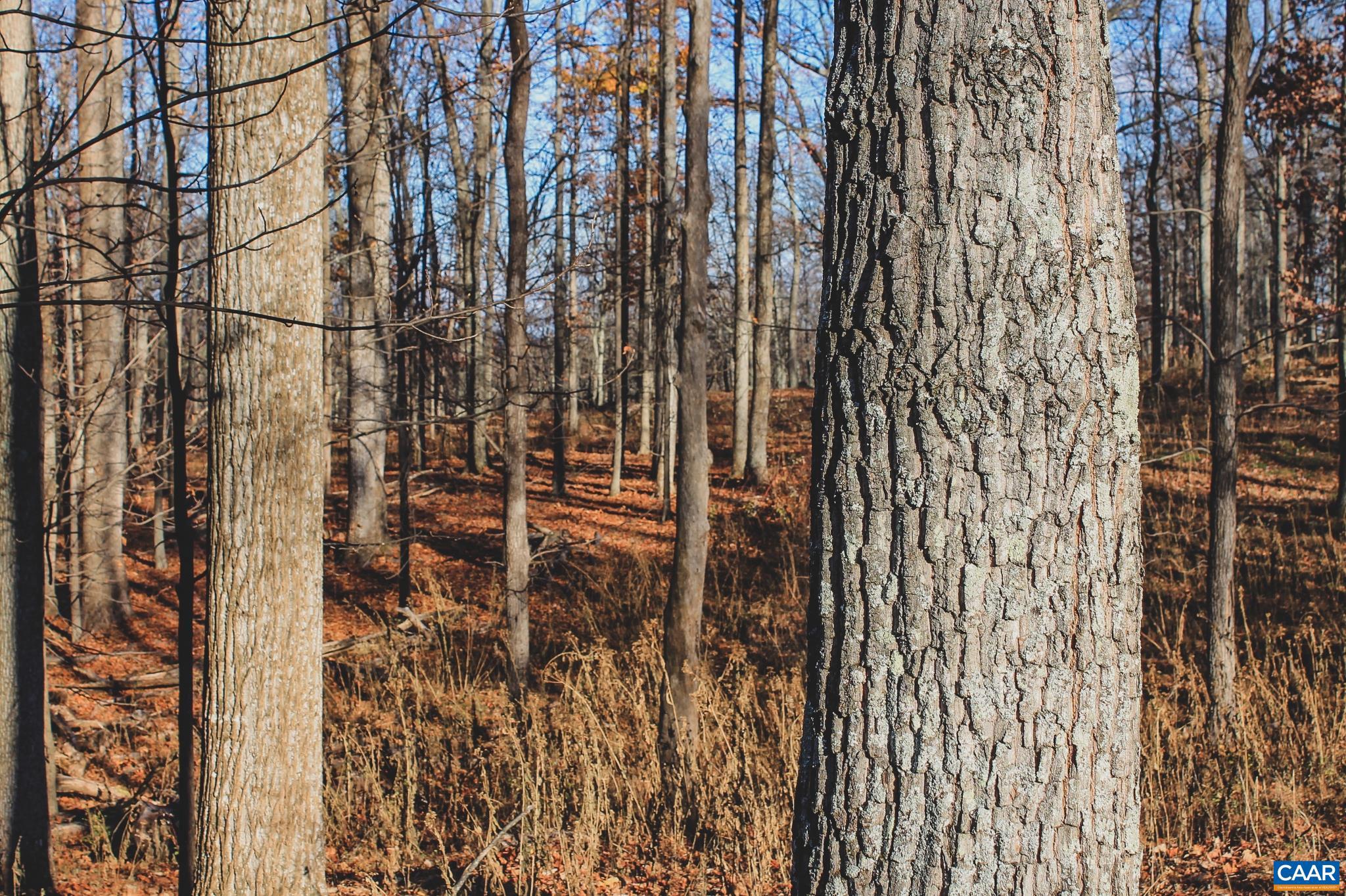Tbd Tbd Leeds Manor Road Delaplane, VA 20144 - Photo 43 of 75