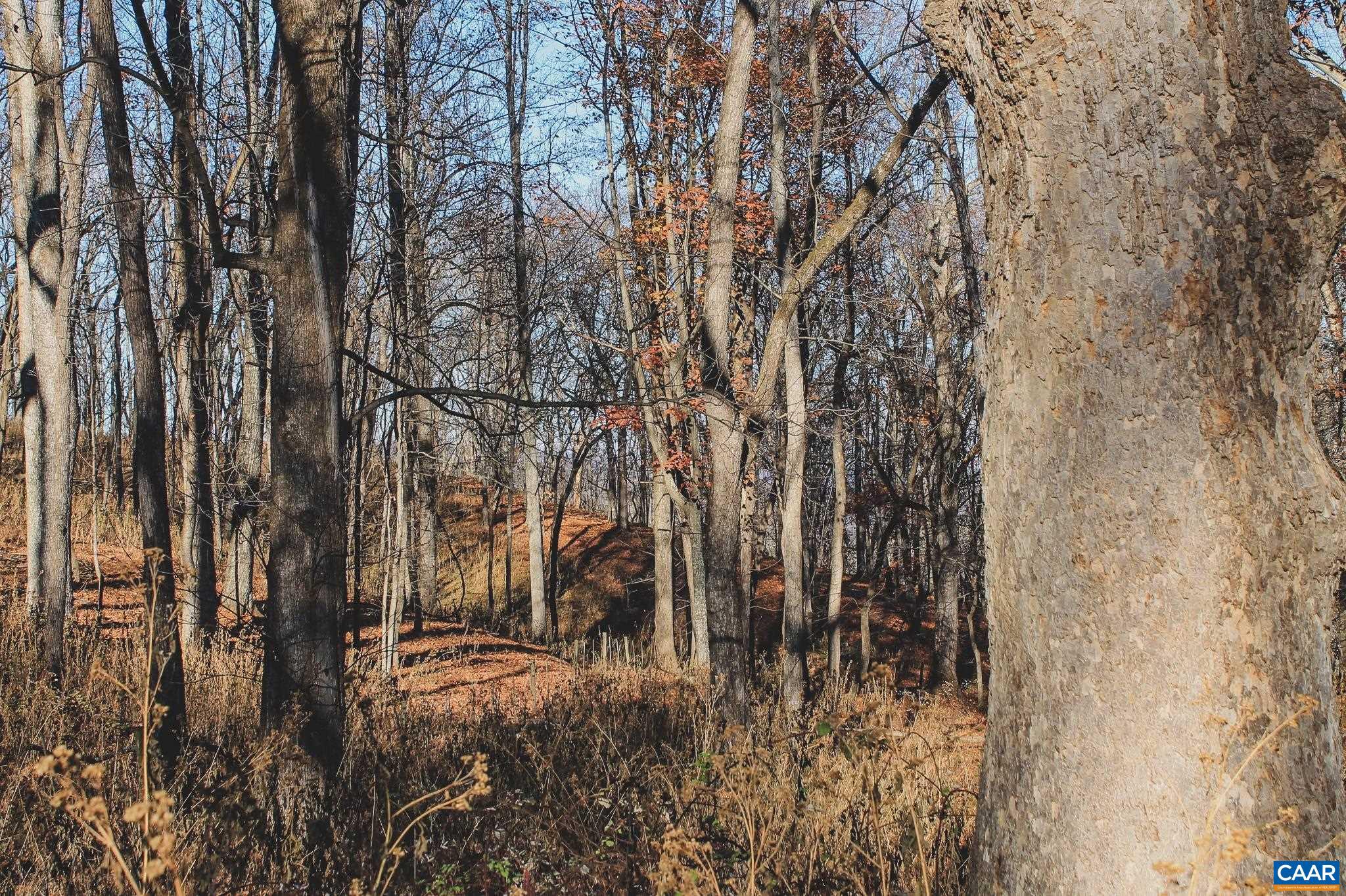 Tbd Tbd Leeds Manor Road Delaplane, VA 20144 - Photo 44 of 75