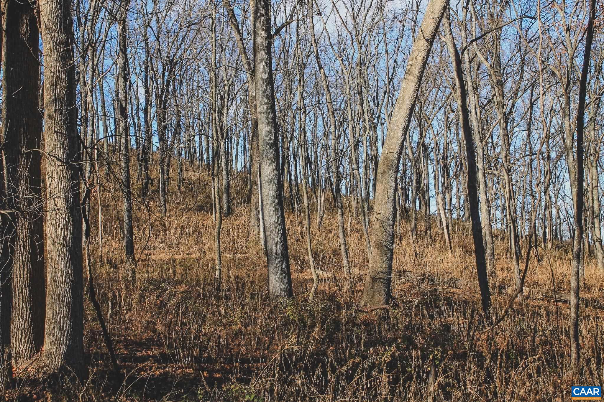 Tbd Tbd Leeds Manor Road Delaplane, VA 20144 - Photo 45 of 75