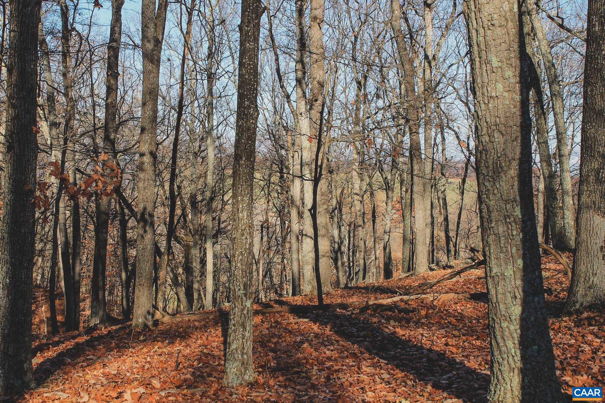 Tbd Tbd Leeds Manor Road Delaplane, VA 20144 - Photo 46 of 75