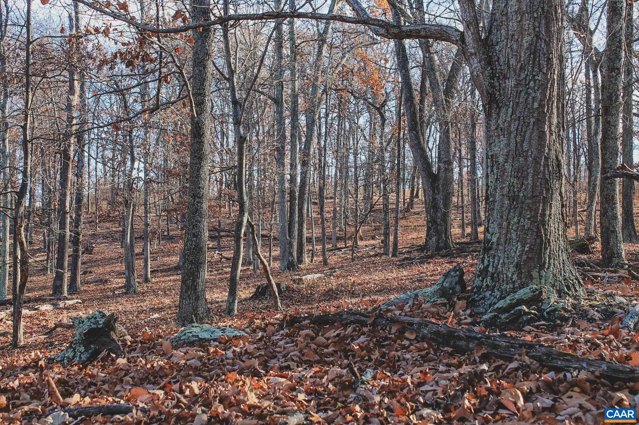Tbd Tbd Leeds Manor Road Delaplane, VA 20144 - Photo 47 of 75