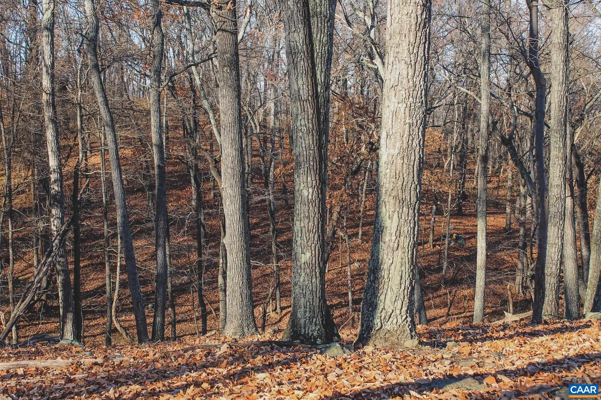 Tbd Tbd Leeds Manor Road Delaplane, VA 20144 - Photo 48 of 75