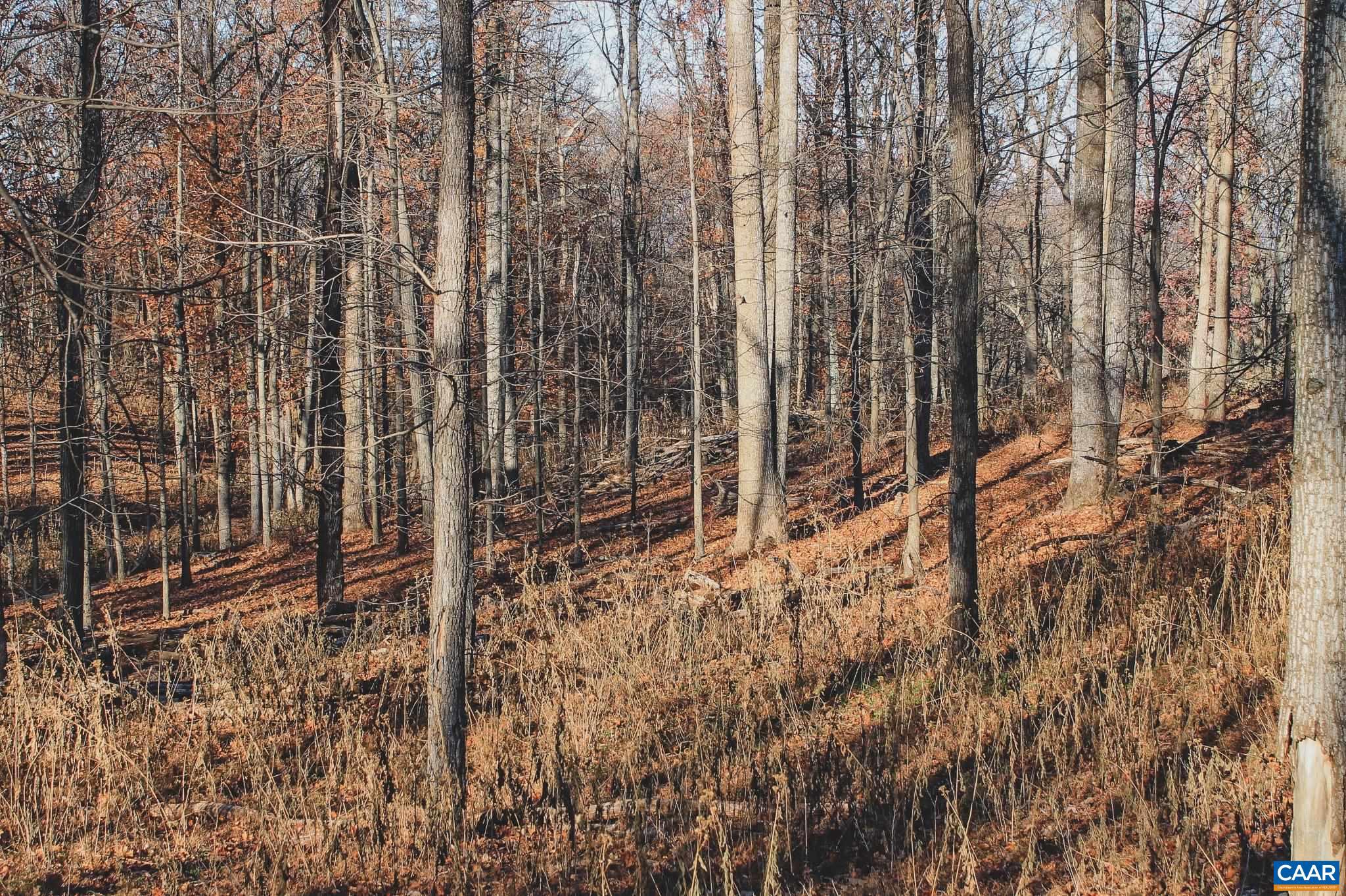 Tbd Tbd Leeds Manor Road Delaplane, VA 20144 - Photo 49 of 75
