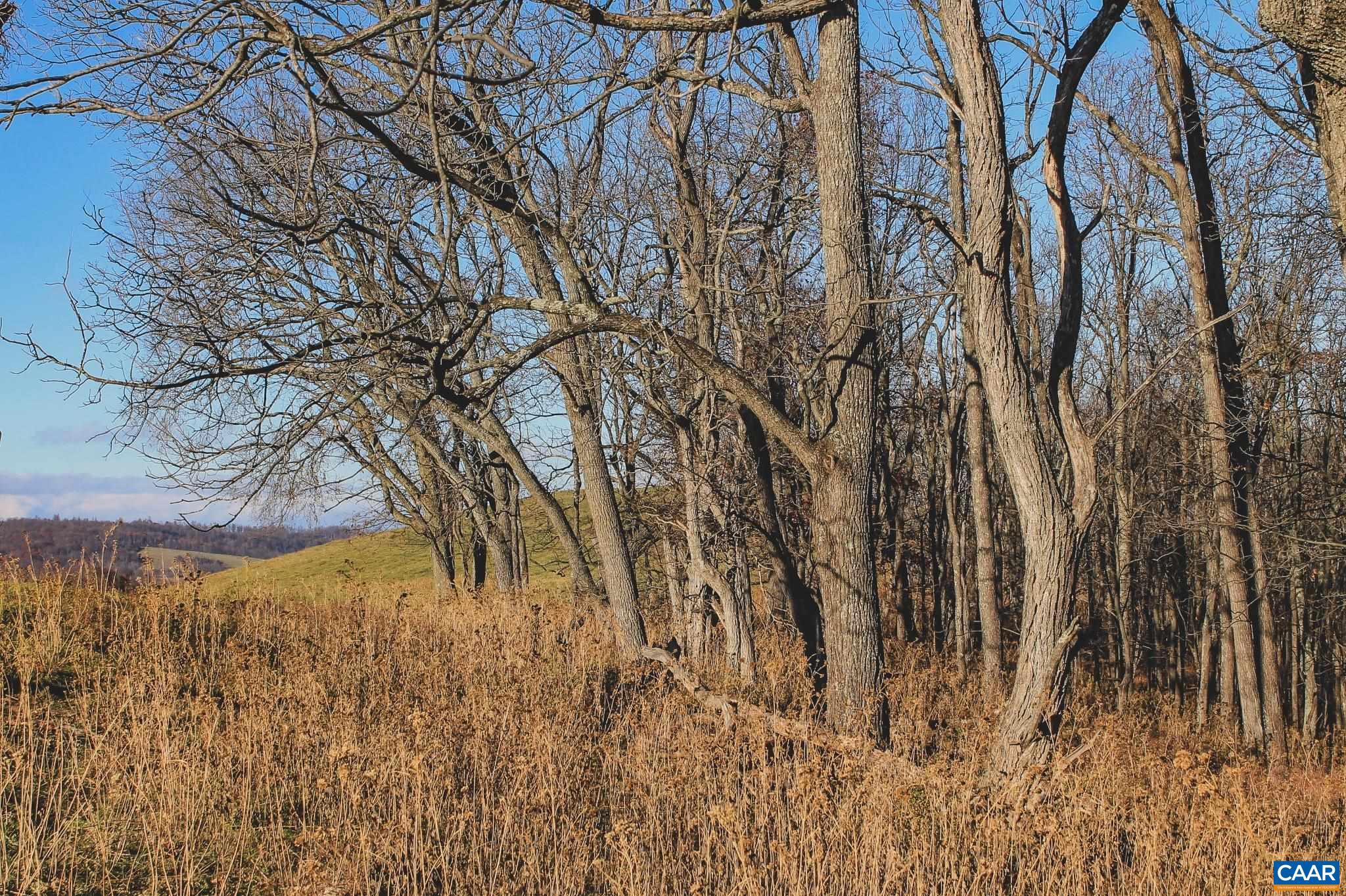 Tbd Tbd Leeds Manor Road Delaplane, VA 20144 - Photo 50 of 75