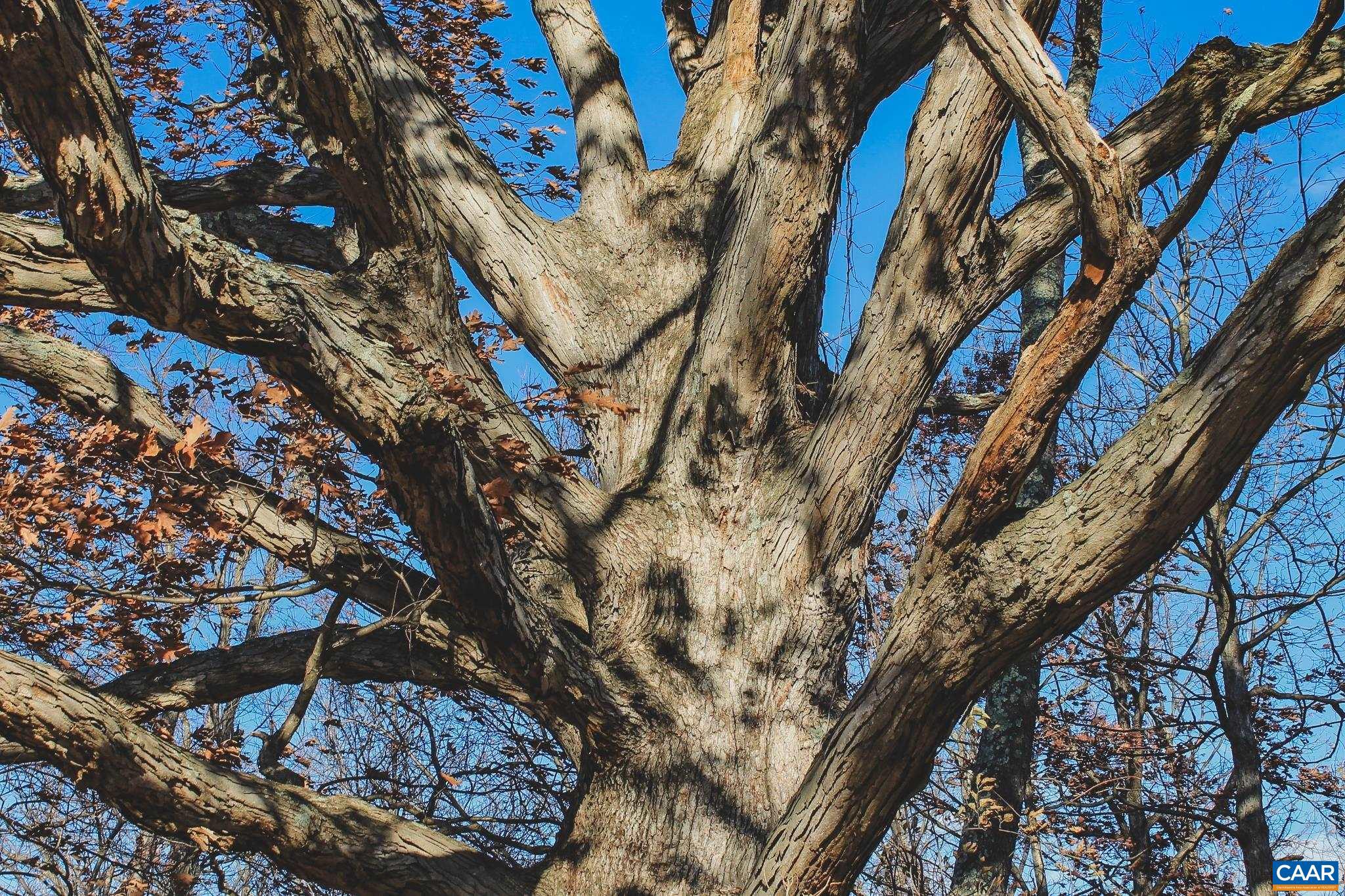 Tbd Tbd Leeds Manor Road Delaplane, VA 20144 - Photo 54 of 75