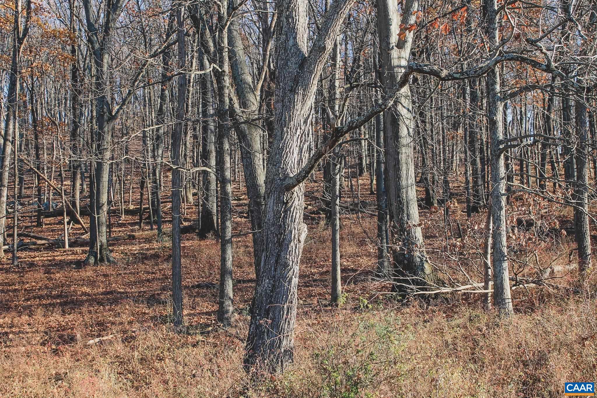 Tbd Tbd Leeds Manor Road Delaplane, VA 20144 - Photo 64 of 75