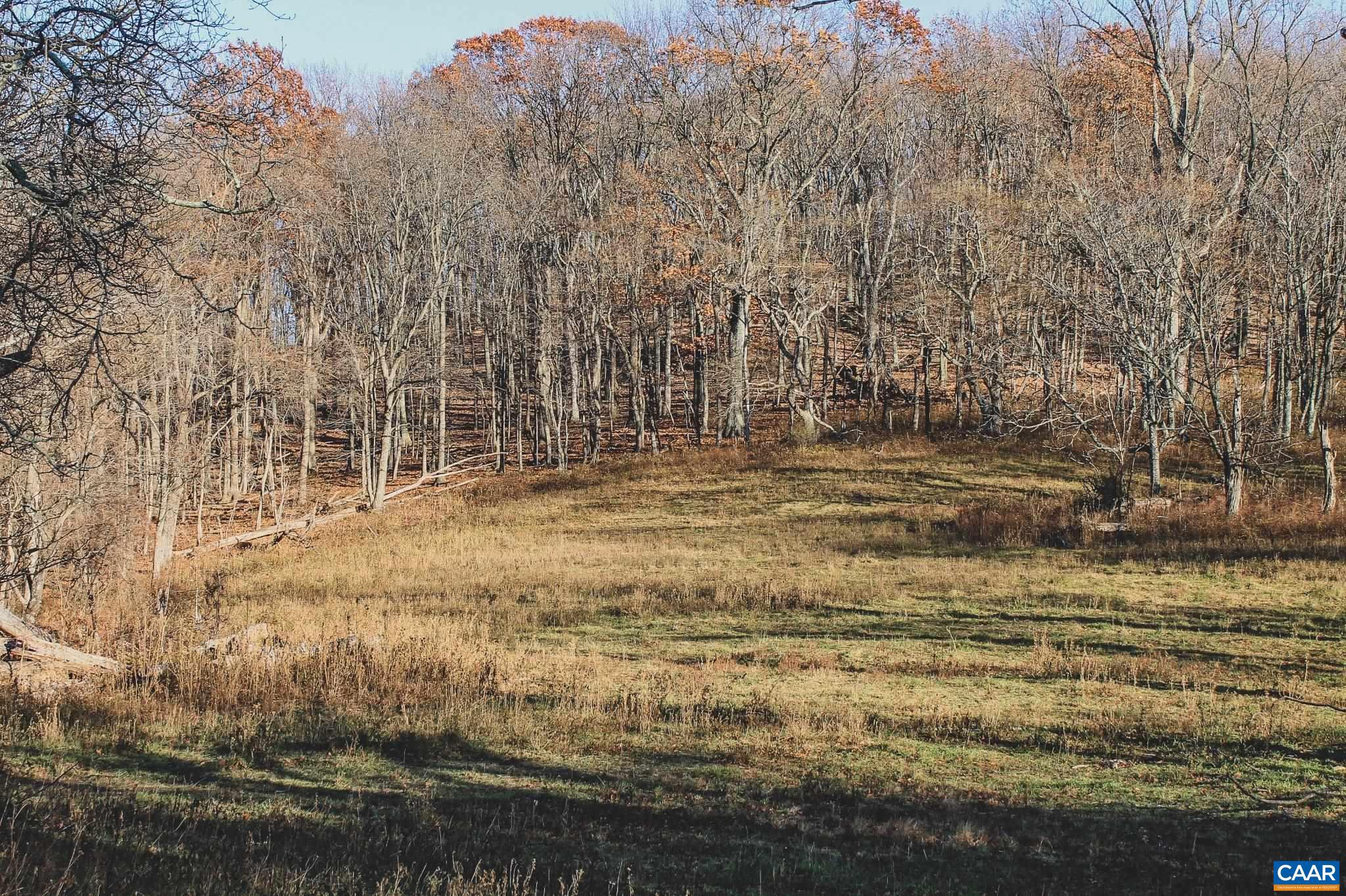 Tbd Tbd Leeds Manor Road Delaplane, VA 20144 - Photo 65 of 75