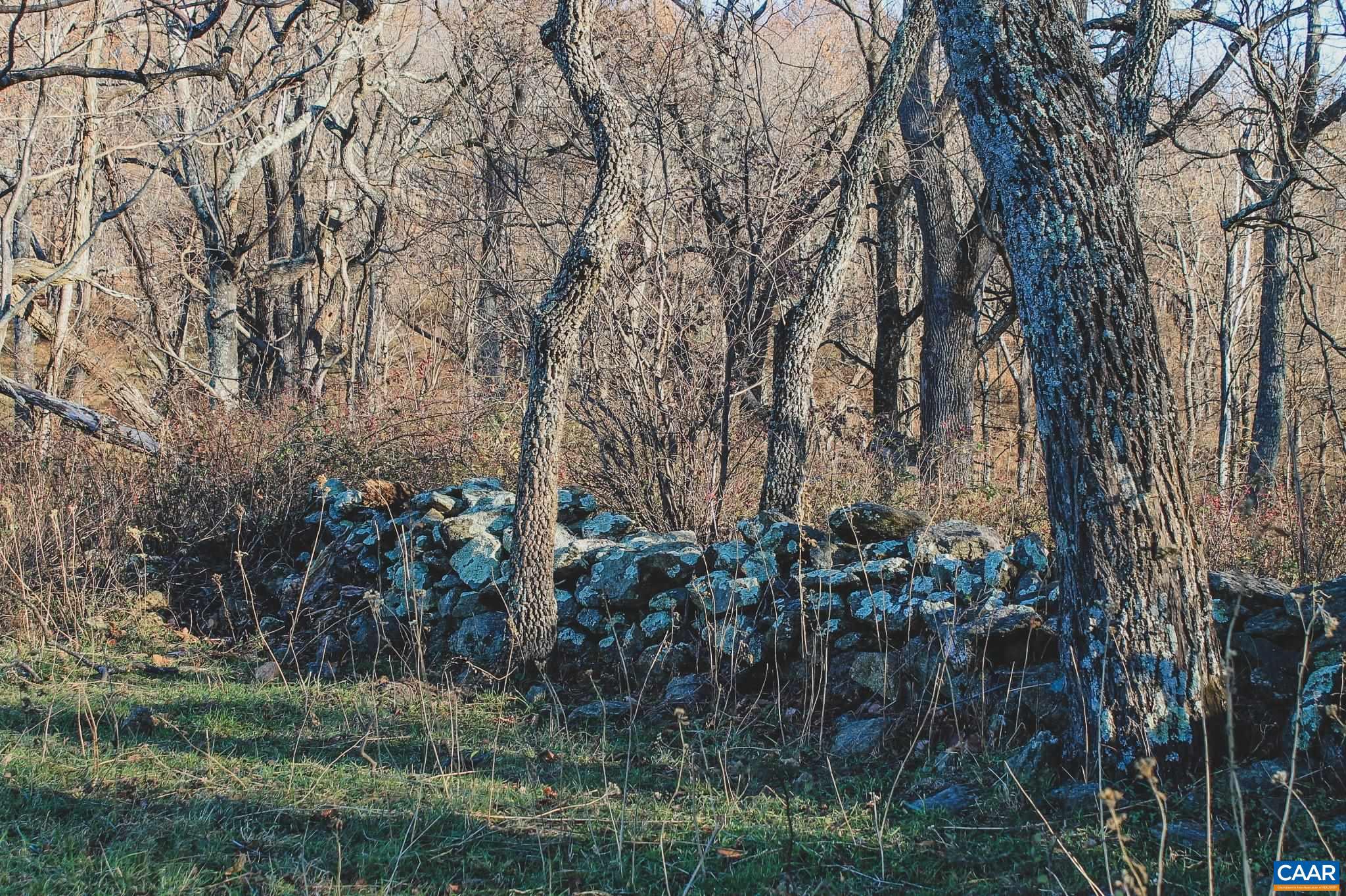Tbd Tbd Leeds Manor Road Delaplane, VA 20144 - Photo 66 of 75