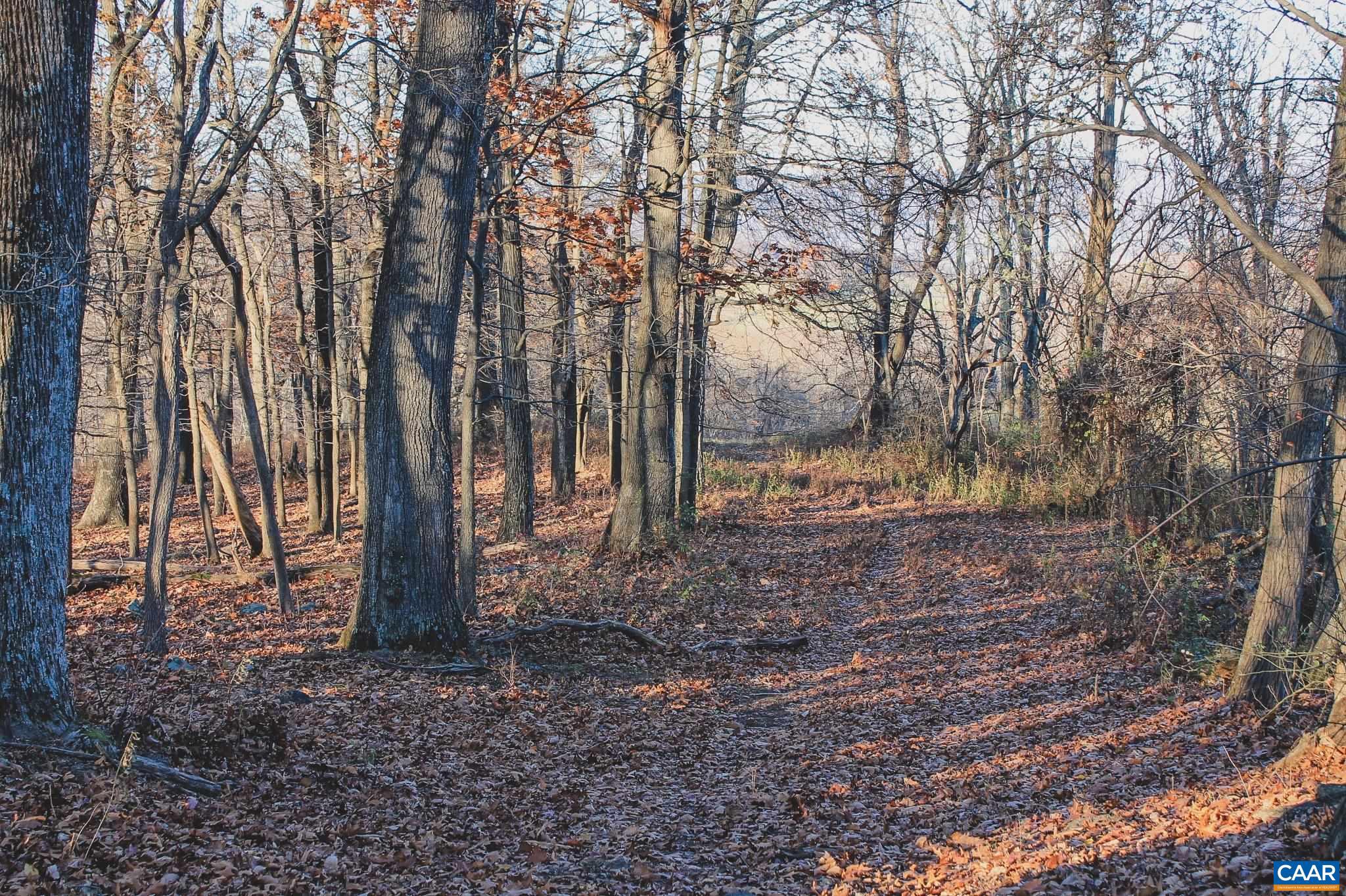 Tbd Tbd Leeds Manor Road Delaplane, VA 20144 - Photo 70 of 75