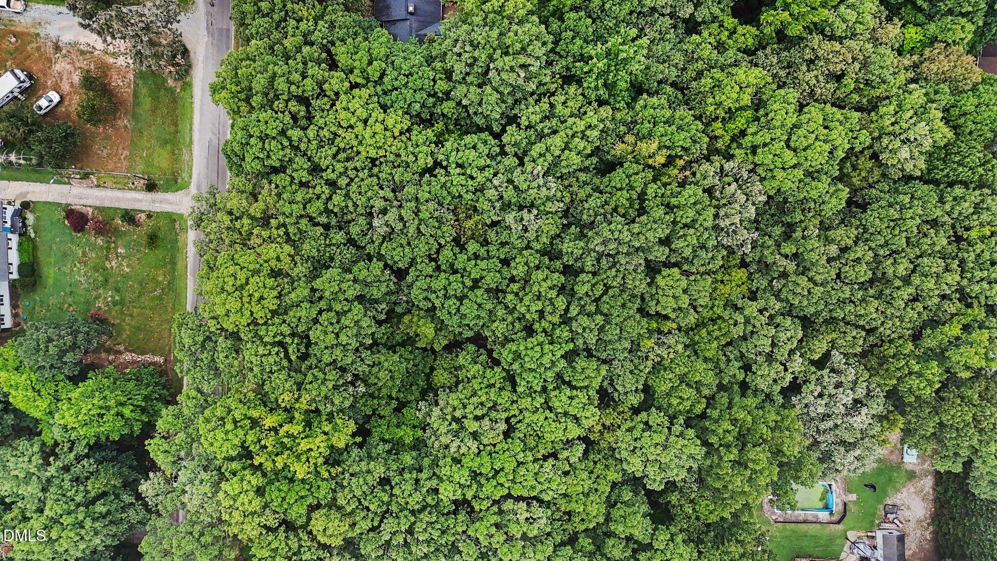 911 Torredge Road Durham, NC 27712 - Photo 13 of 22 013_file_4263