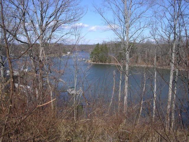 Lot 2 Morewood Road Hardy, VA 24101 - Photo 2 of 18 Lot 2, Morewood Road