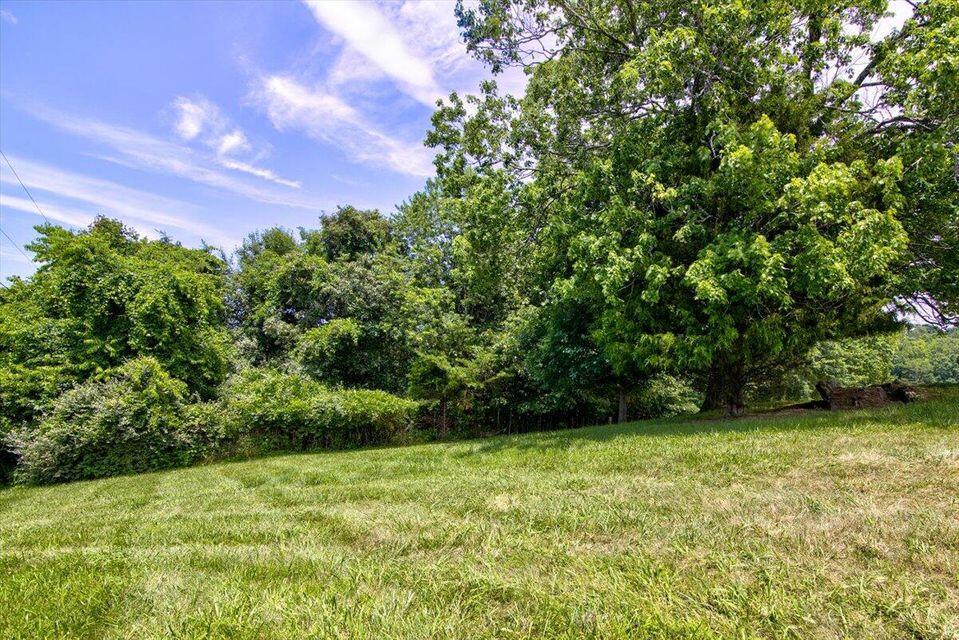Lot 2 Morewood Road Hardy, VA 24101 - Photo 3 of 18 3