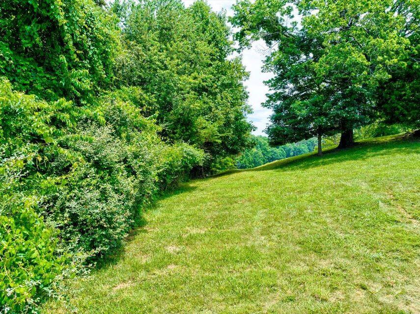 Lot 2 Morewood Road Hardy, VA 24101 - Photo 4 of 18 4